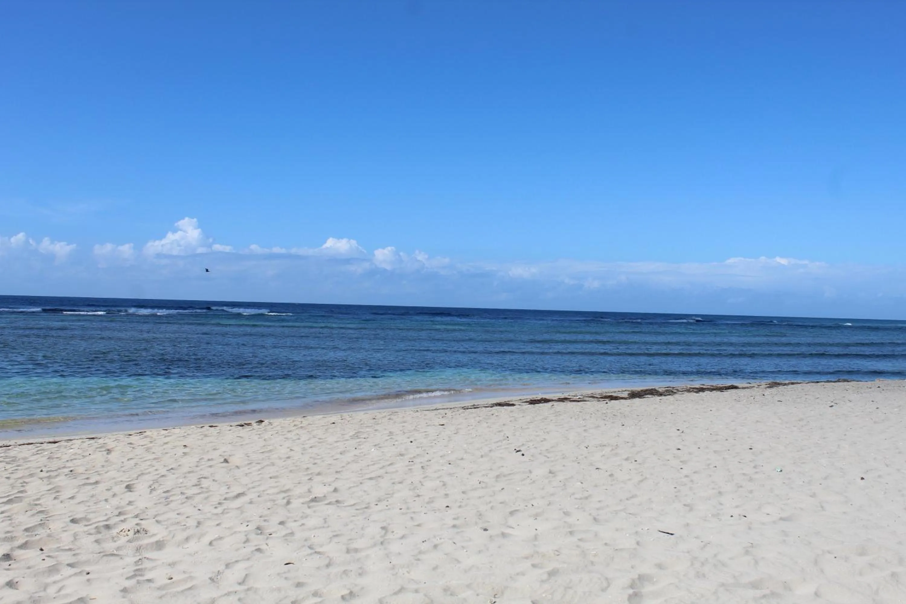 Beach in Emotions by Hodelpa - Juan Dolio