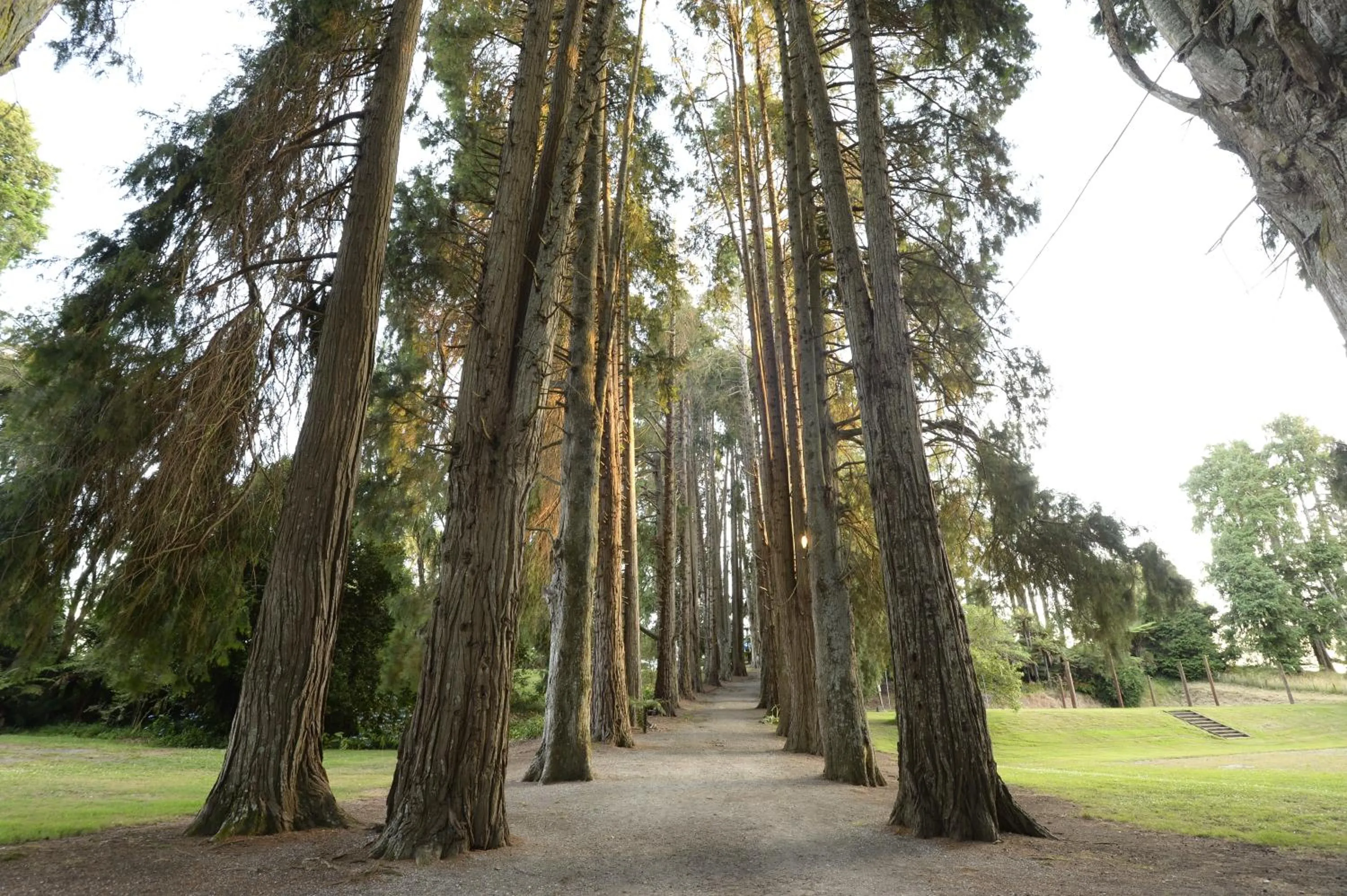 Neighbourhood in Okoroire Hot Springs Hotel