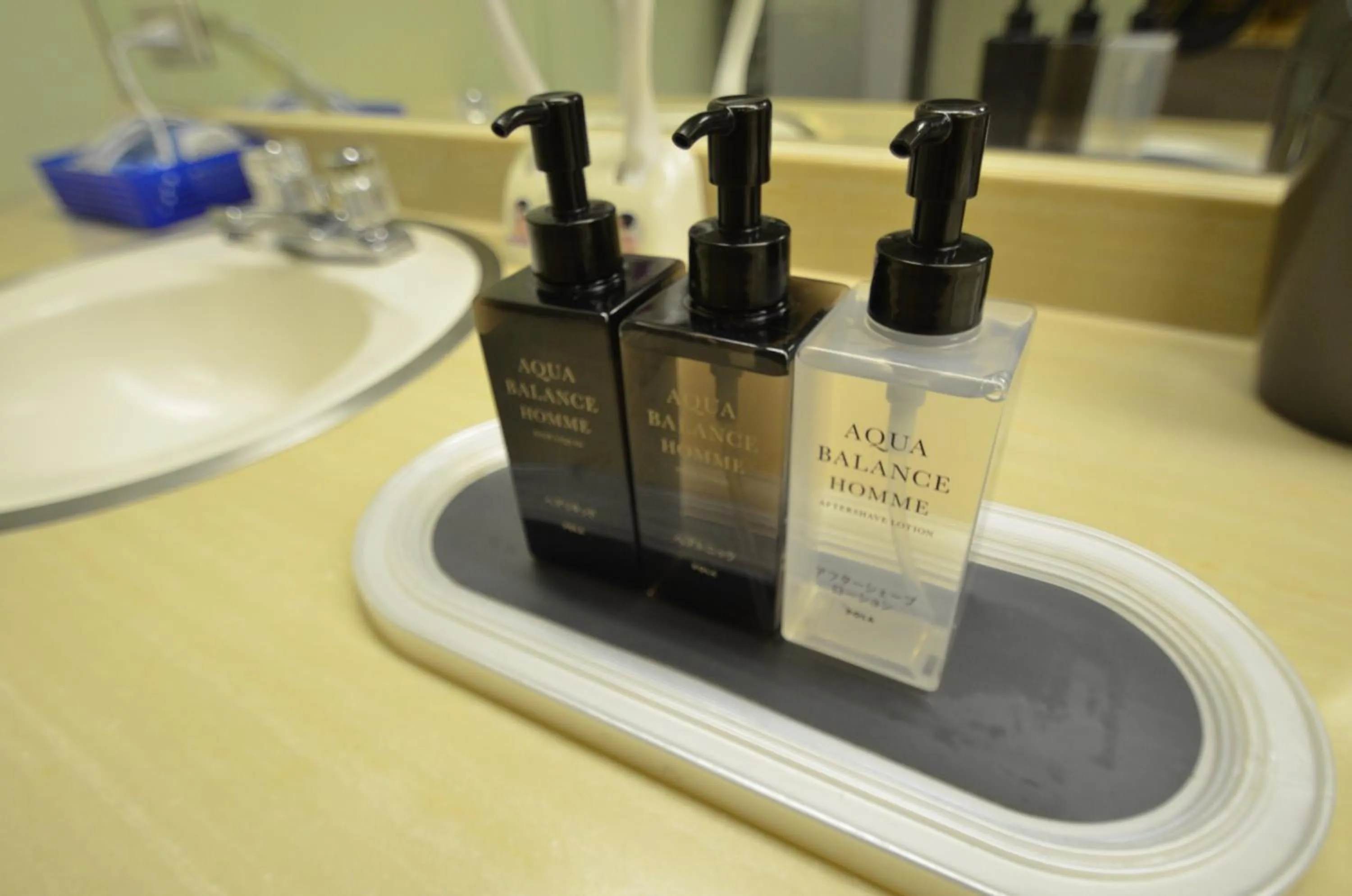 Public Bath in Shin Kabakawa Kanko Hotel