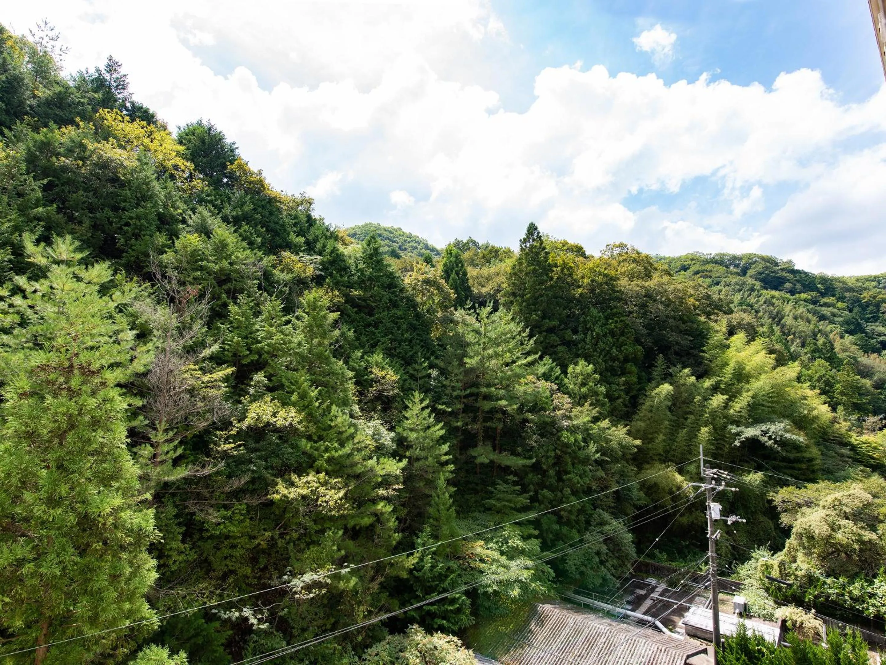 Natural landscape in Shin Kabakawa Kanko Hotel