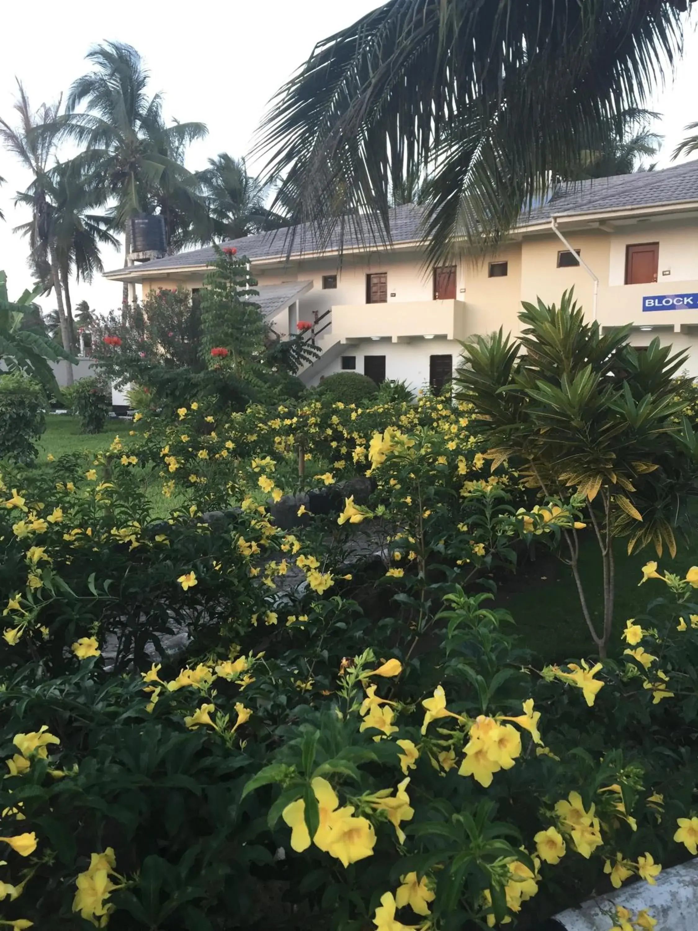 Property building in Oceanic Bay Hotel & Resort Property building in Oceanic Bay Hotel & Resort