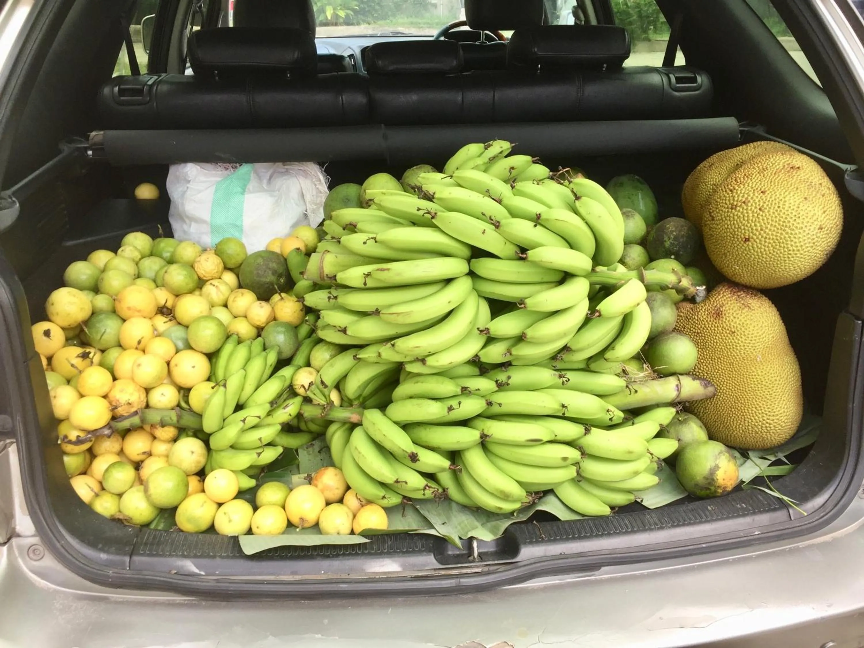 Food and drinks in Oceanic Bay Hotel & Resort