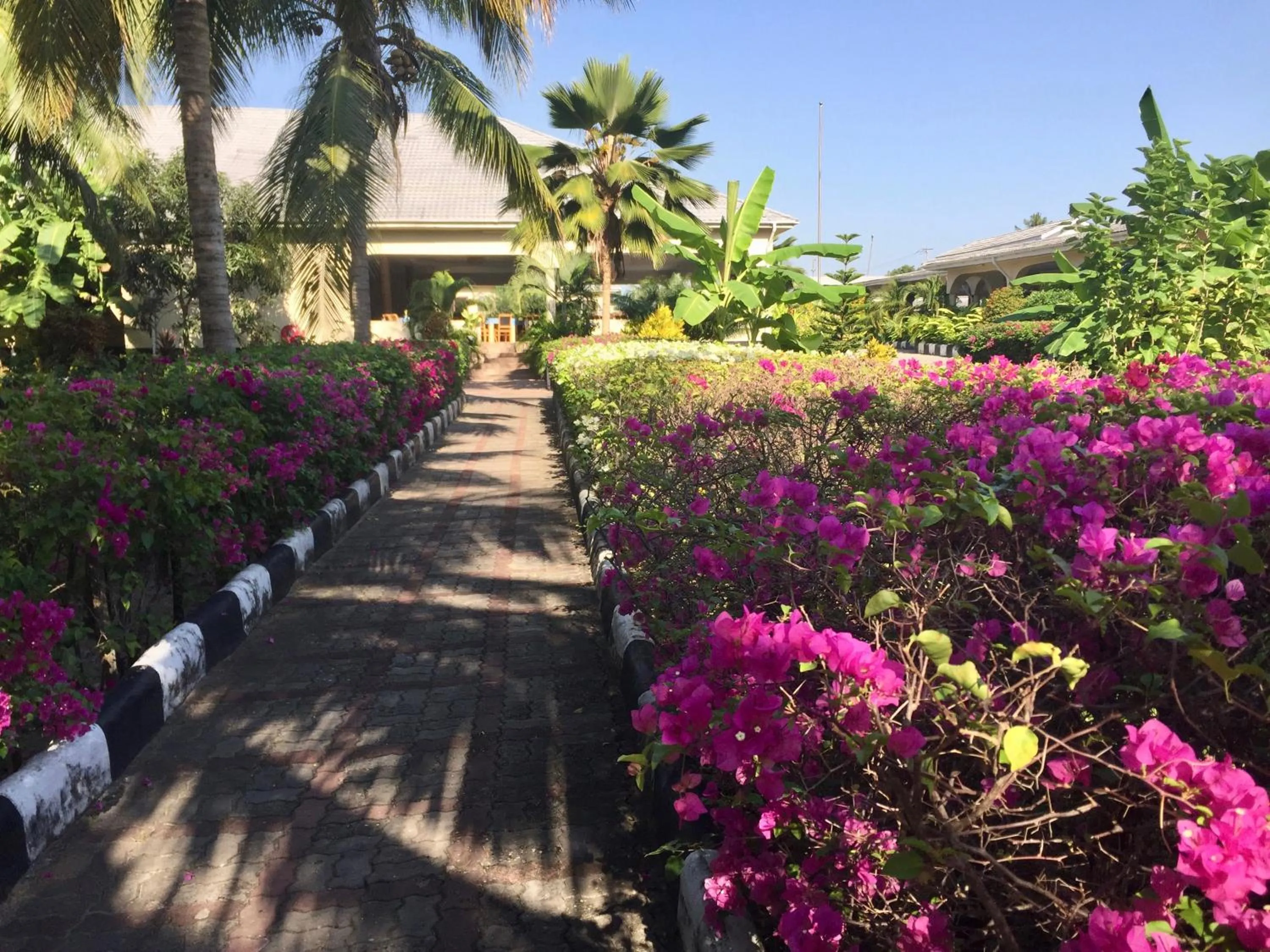 On site in Oceanic Bay Hotel & Resort