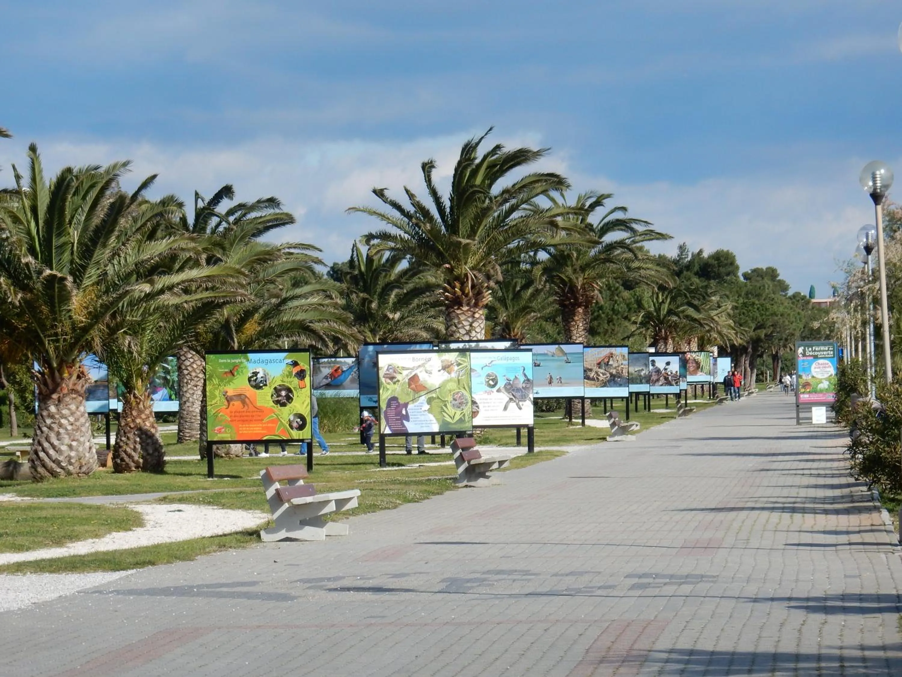 Beach in Hotel Bleu Azur