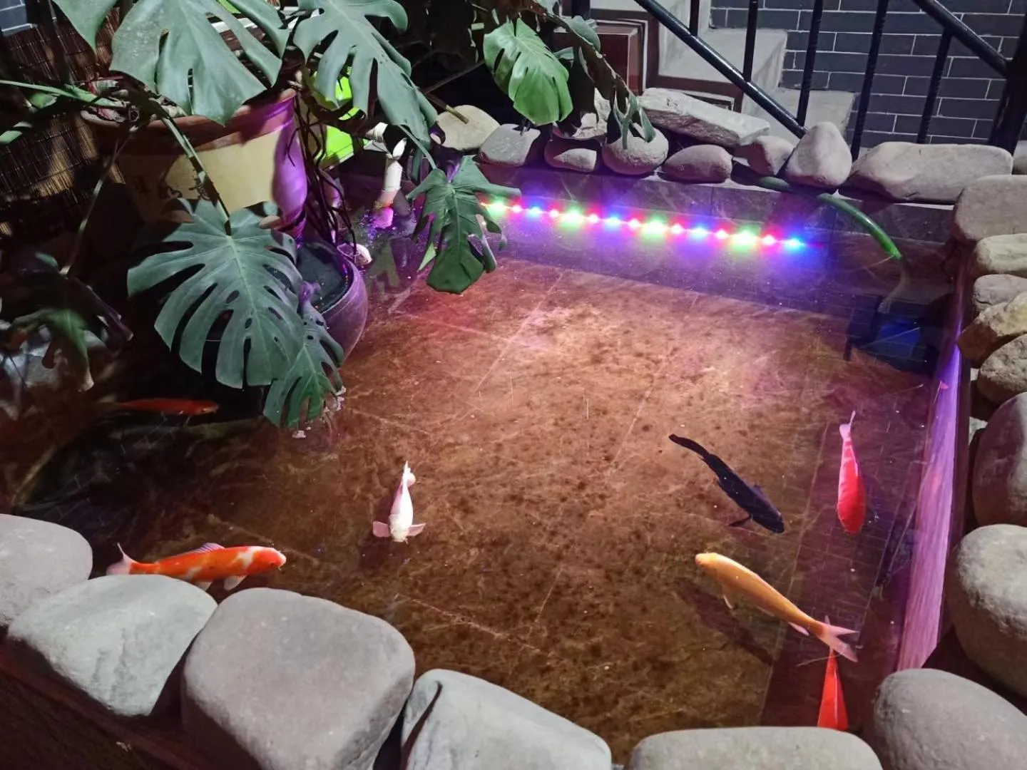 Pingyao Jiaxin Guesthouse