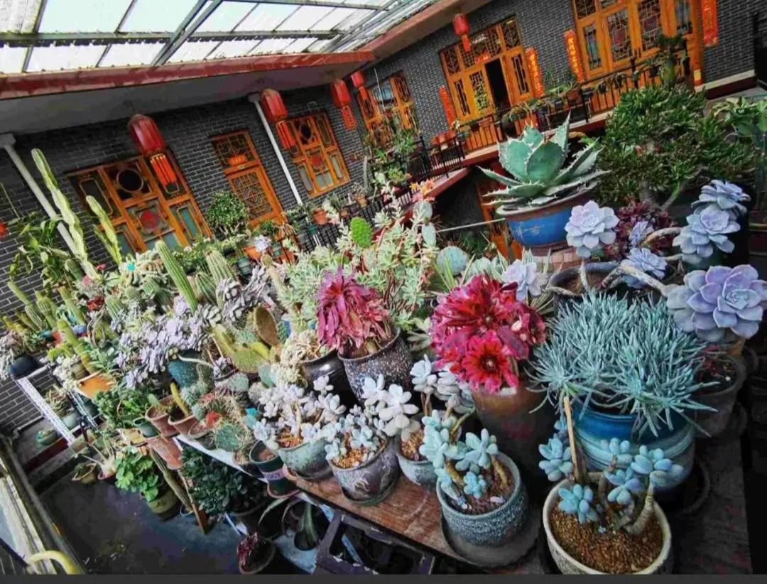 Pingyao Jiaxin Guesthouse