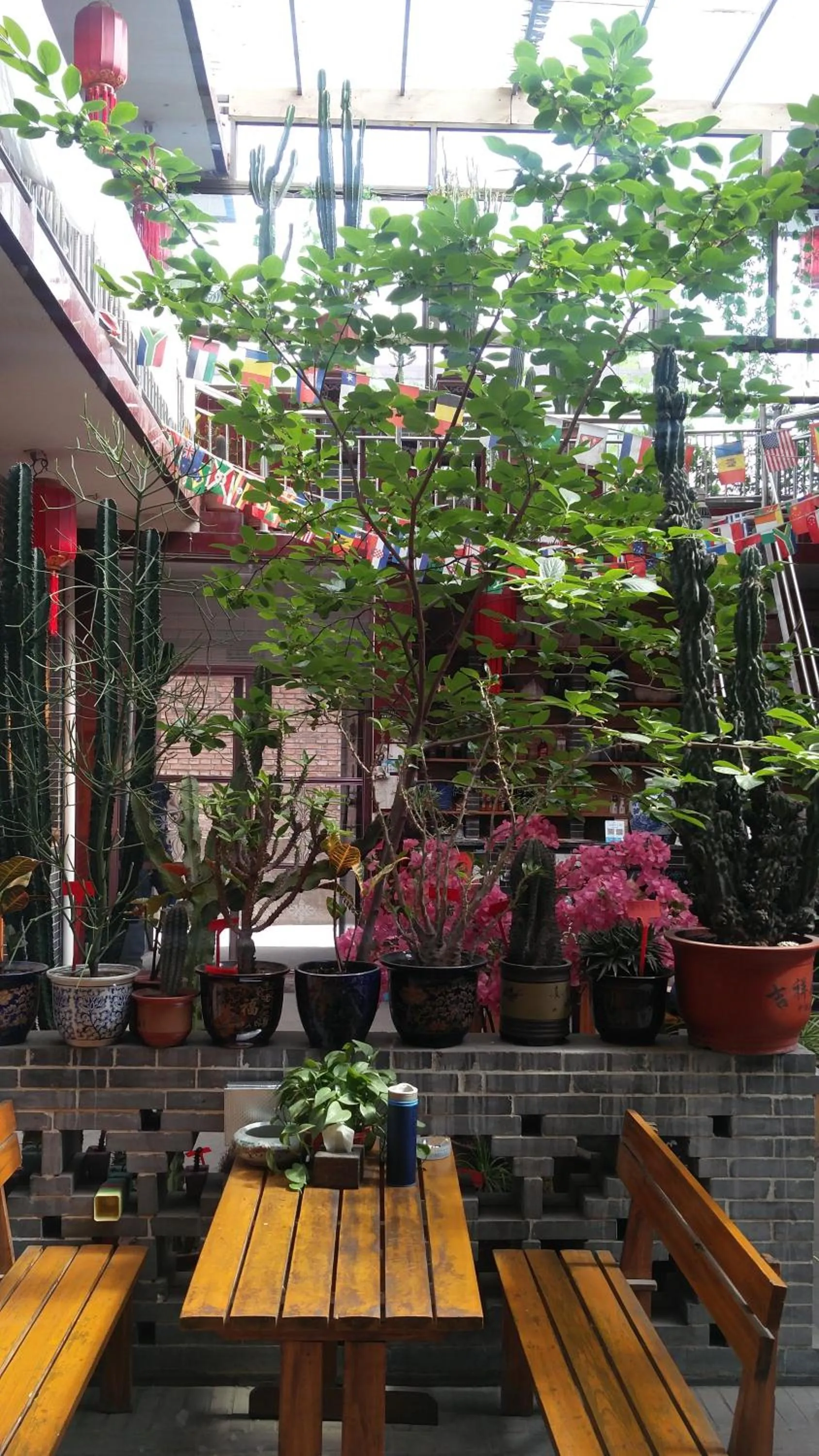Pingyao Jiaxin Guesthouse