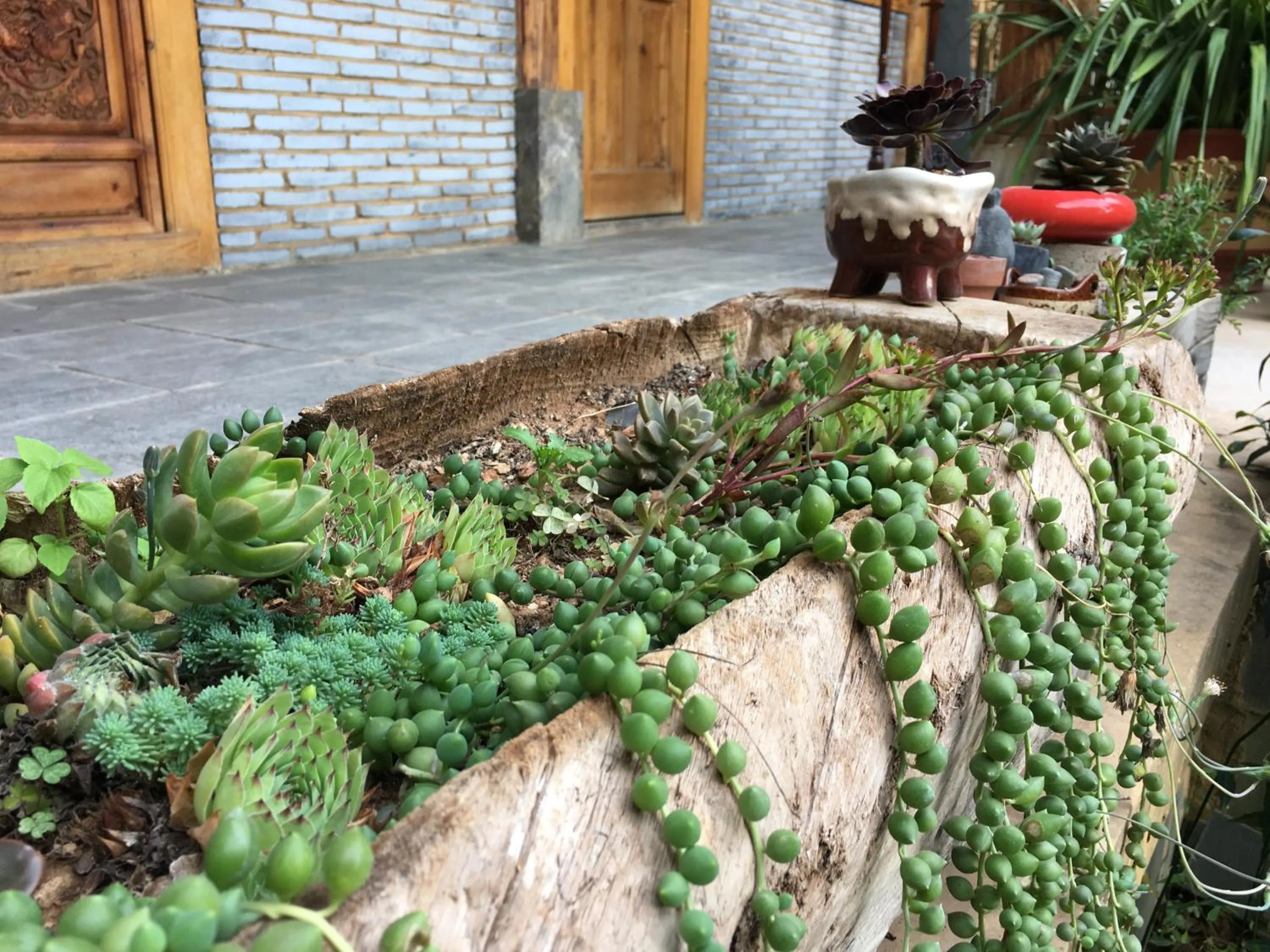 Tourist Courtyard Hotel