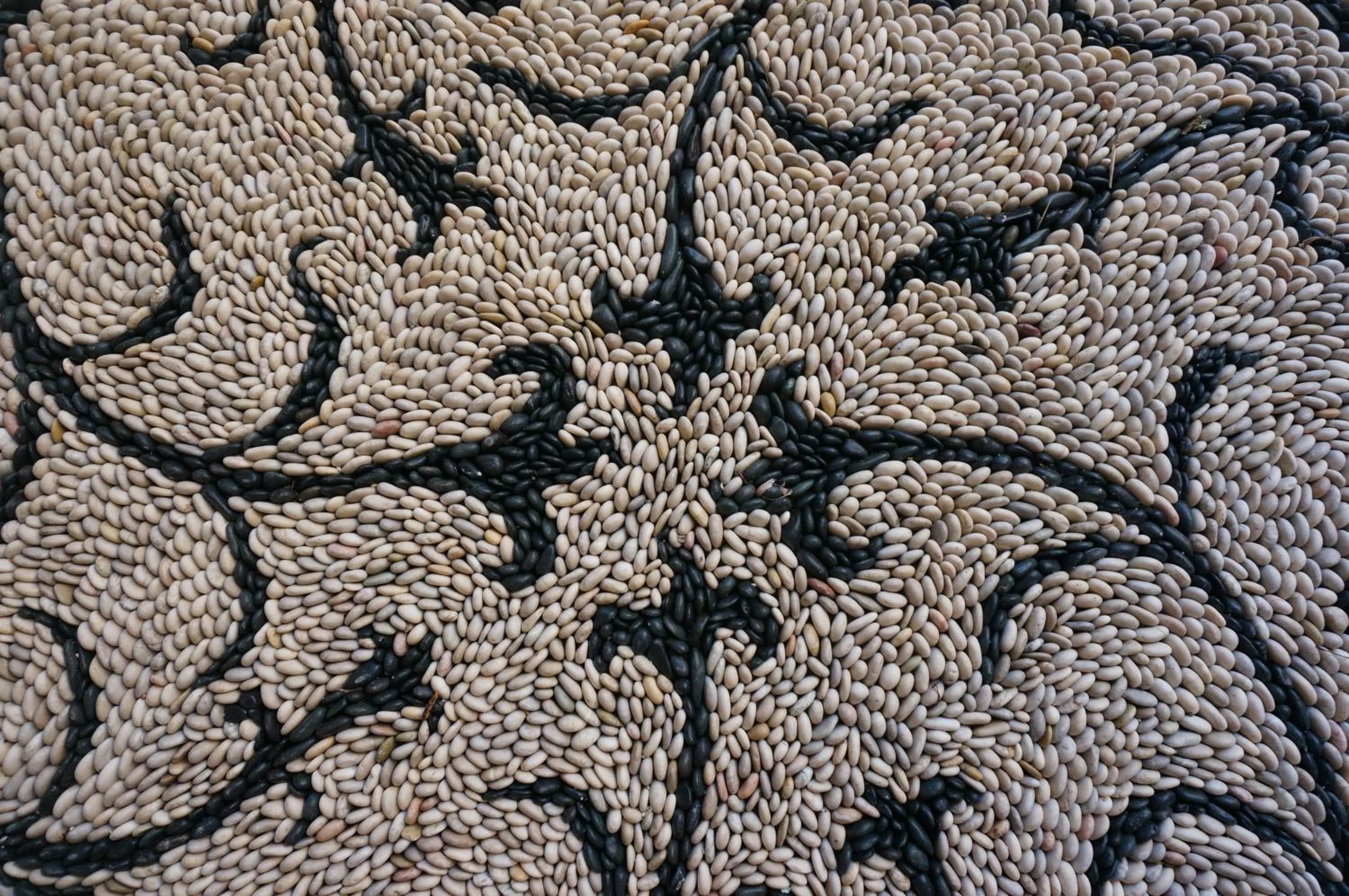 Garden in Hotel Ellique