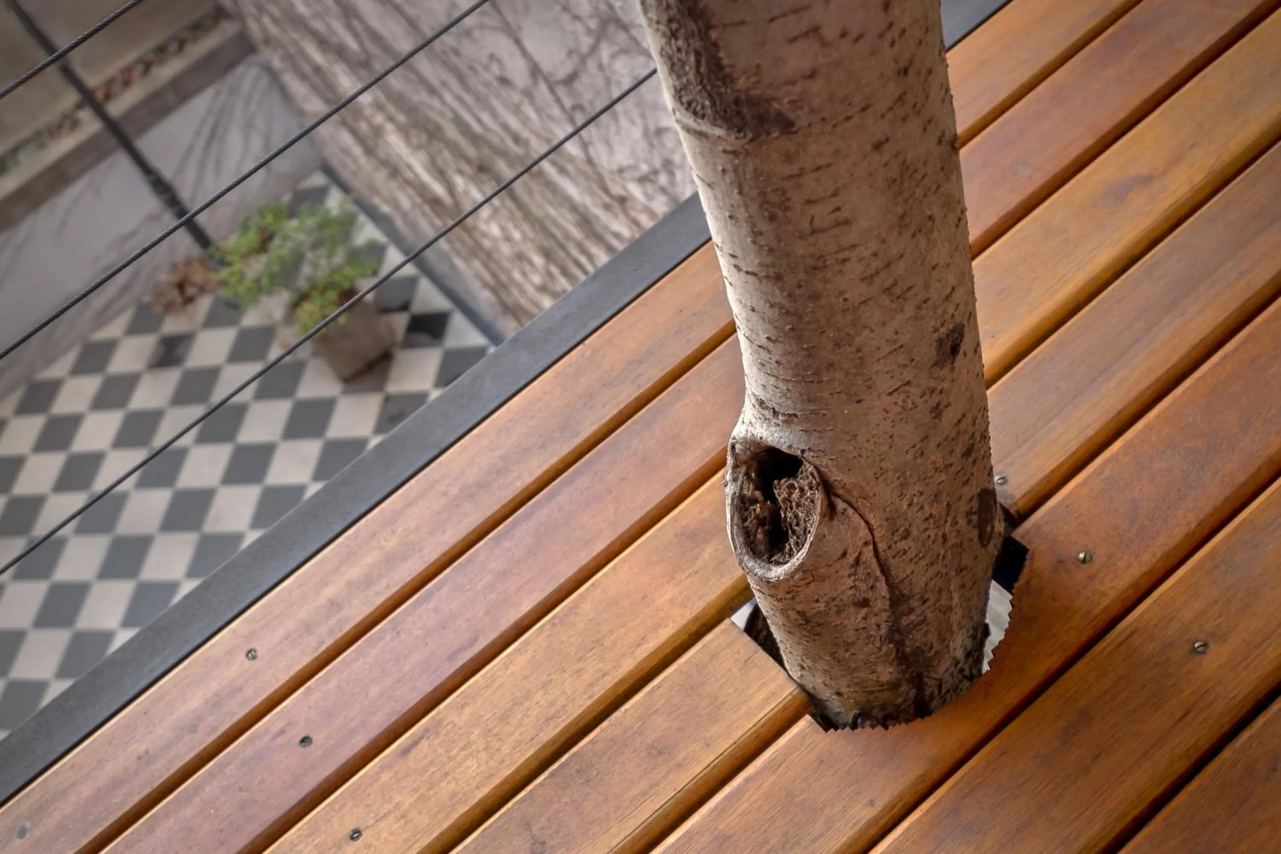 Balcony/Terrace in Mariposita de San Telmo Tango Experience Hotel Boutique