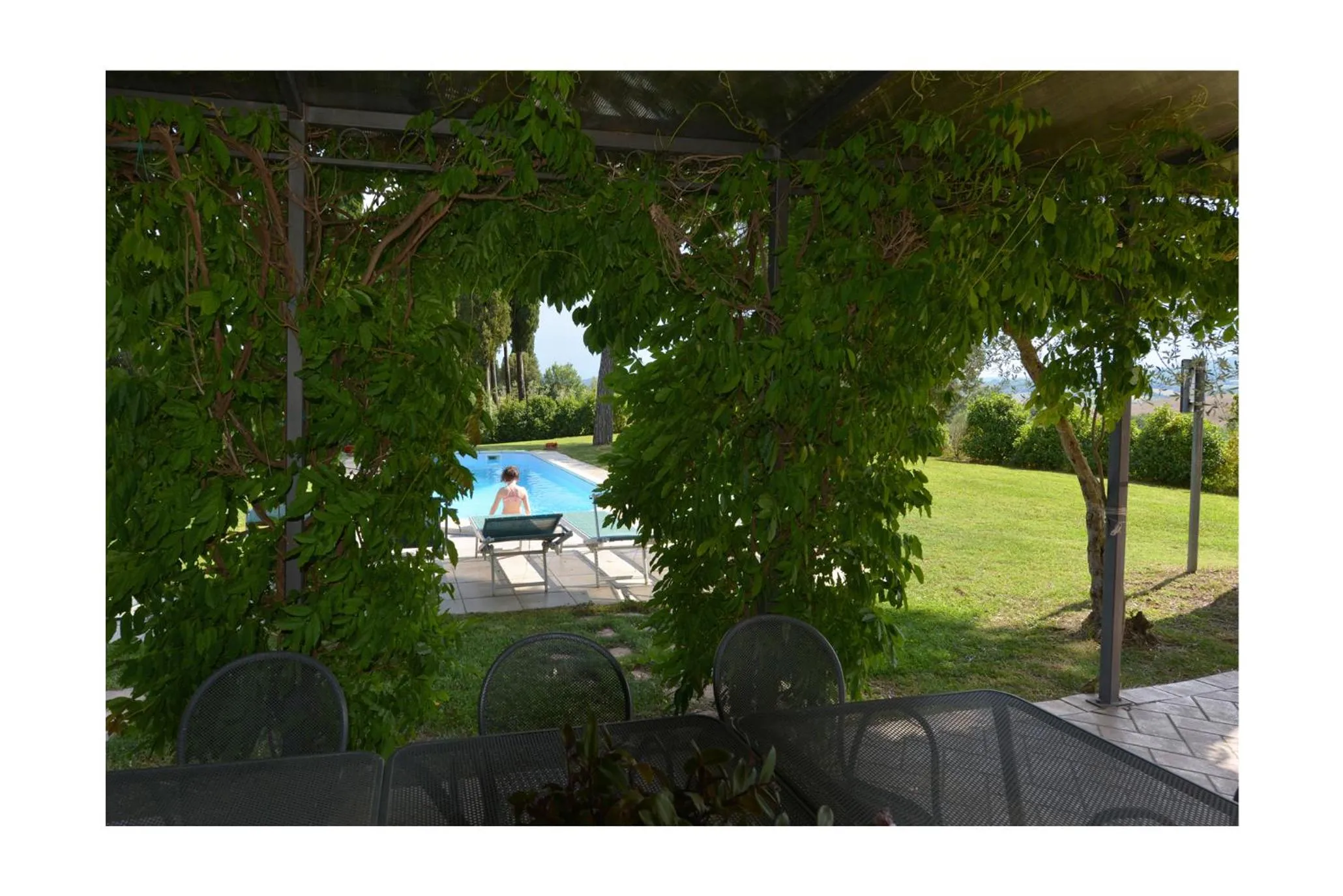 Pool view in Podere Suvignano
