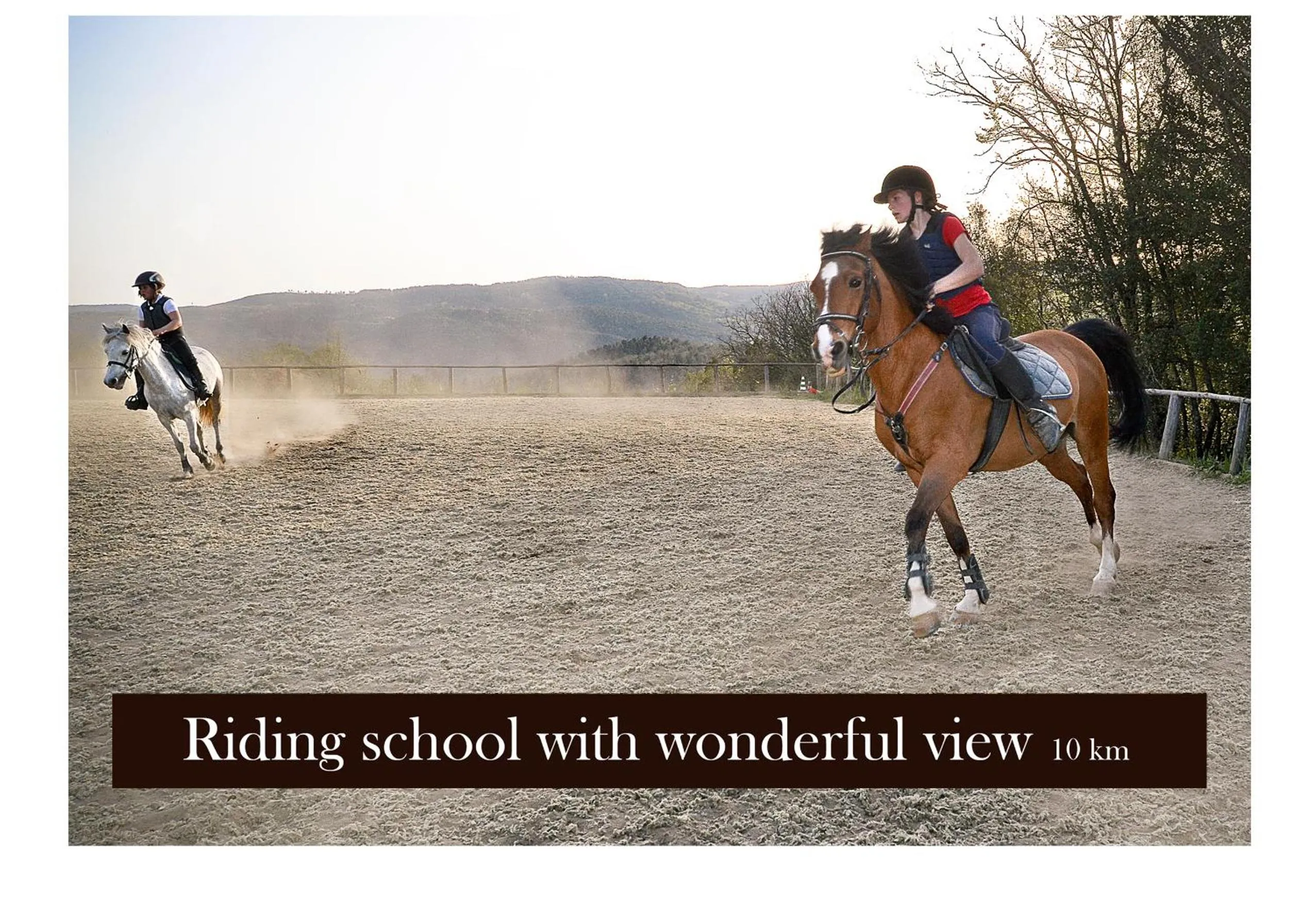 Horse-riding in Podere Suvignano