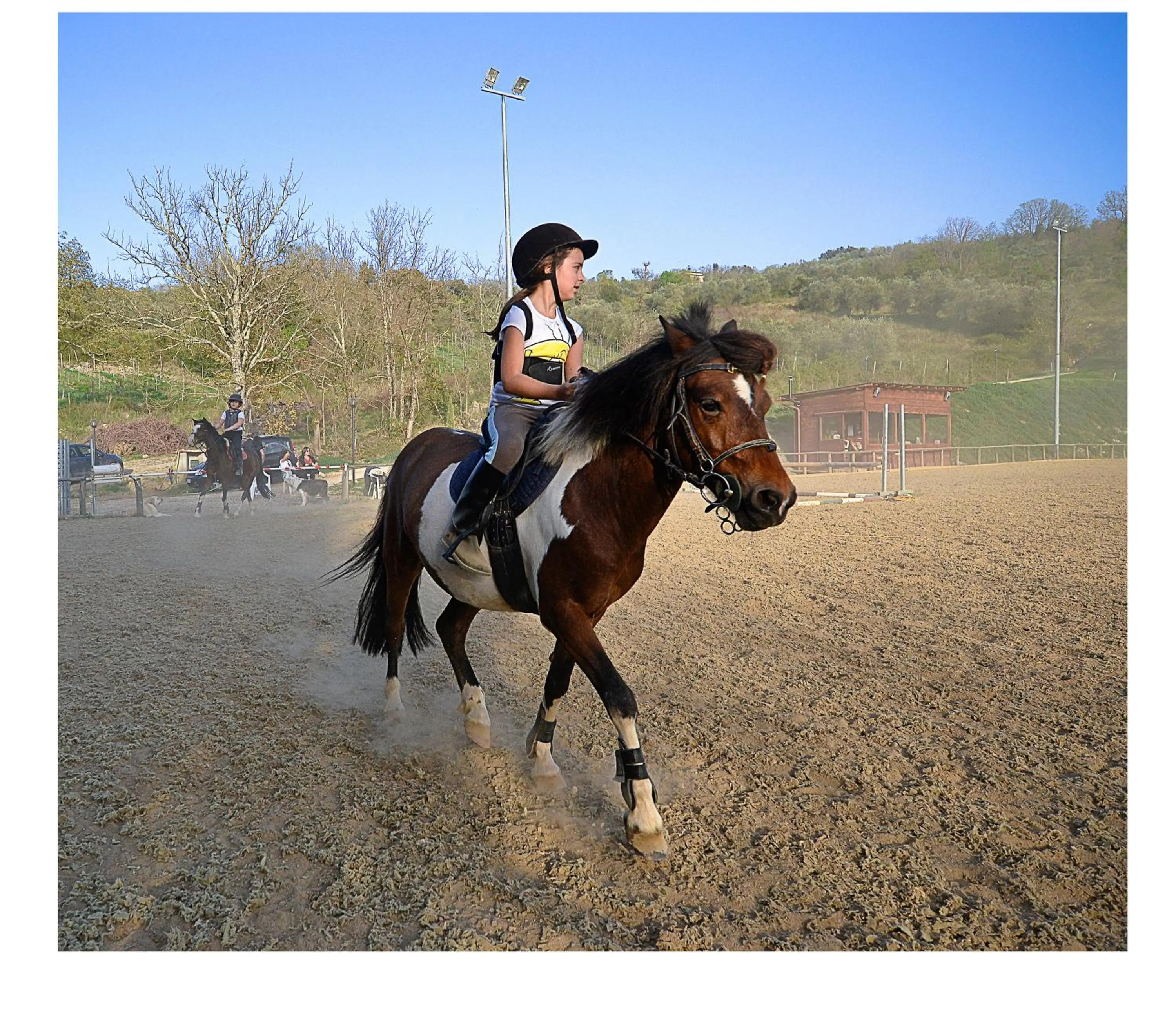 Horse-riding in Podere Suvignano