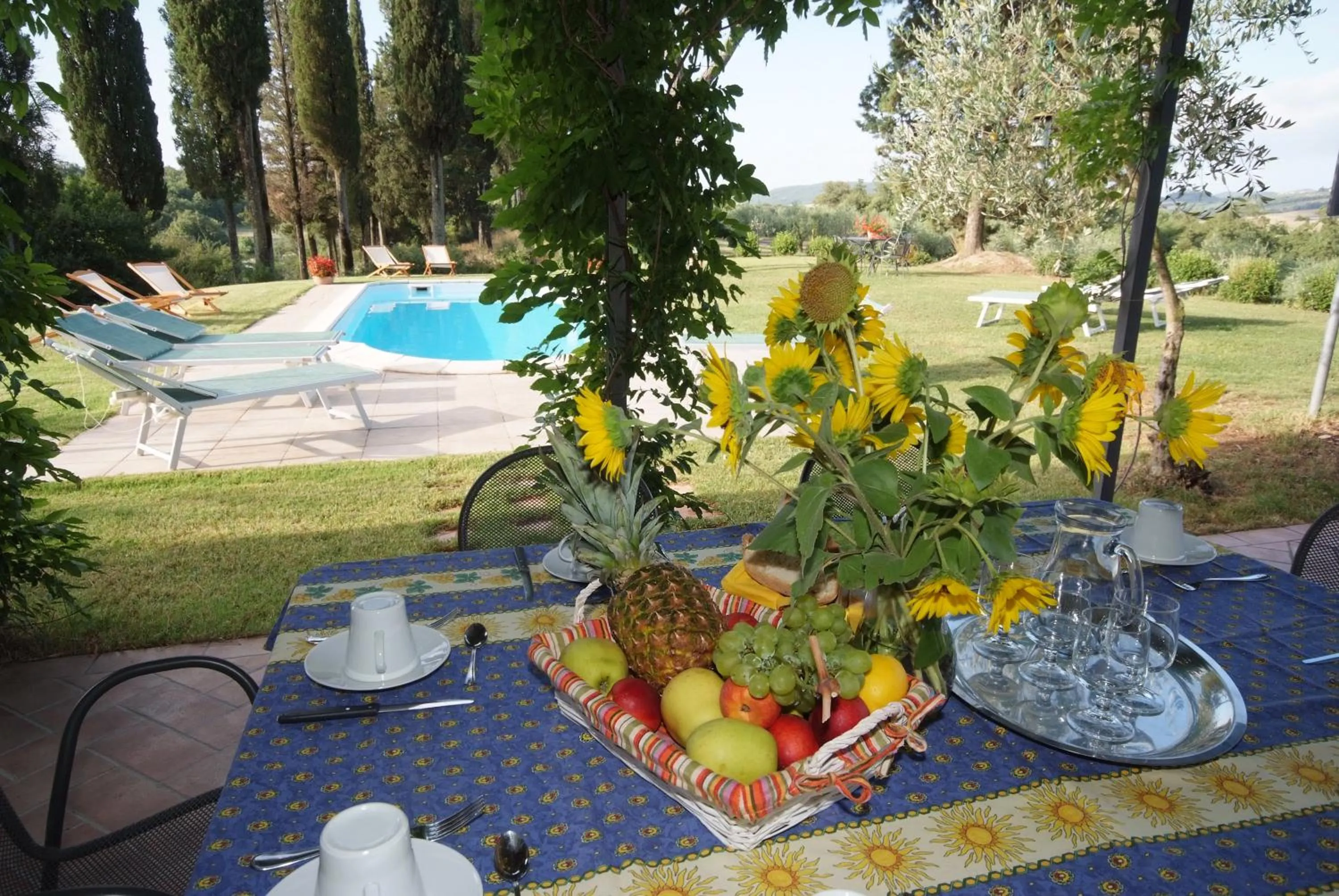 Swimming pool in Podere Suvignano