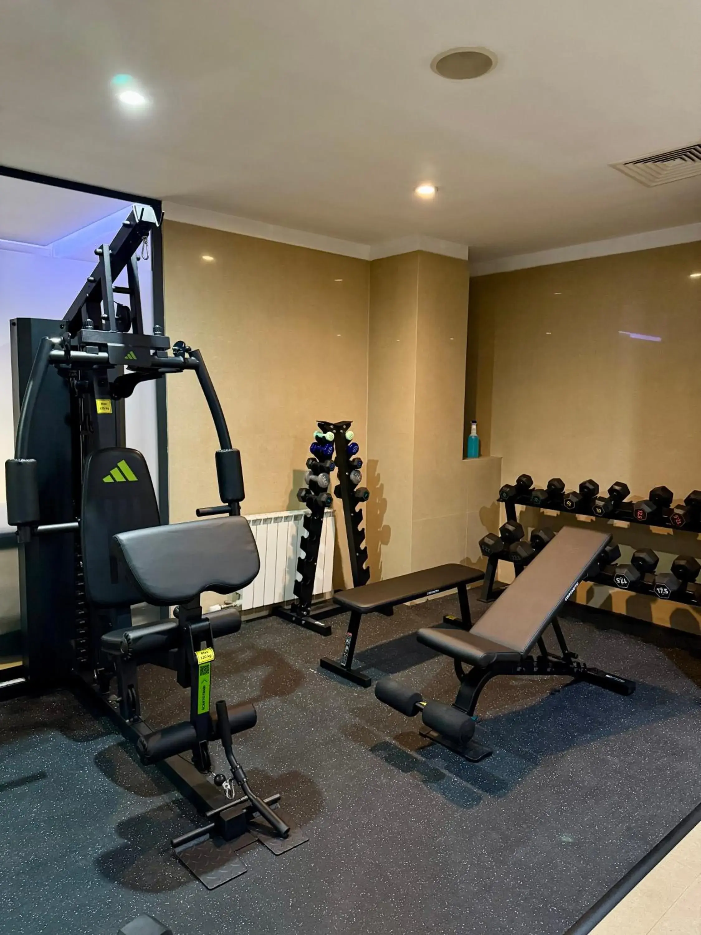 Fitness centre/facilities in Central Hotel Sofia Fitness centre/facilities in Central Hotel Sofia