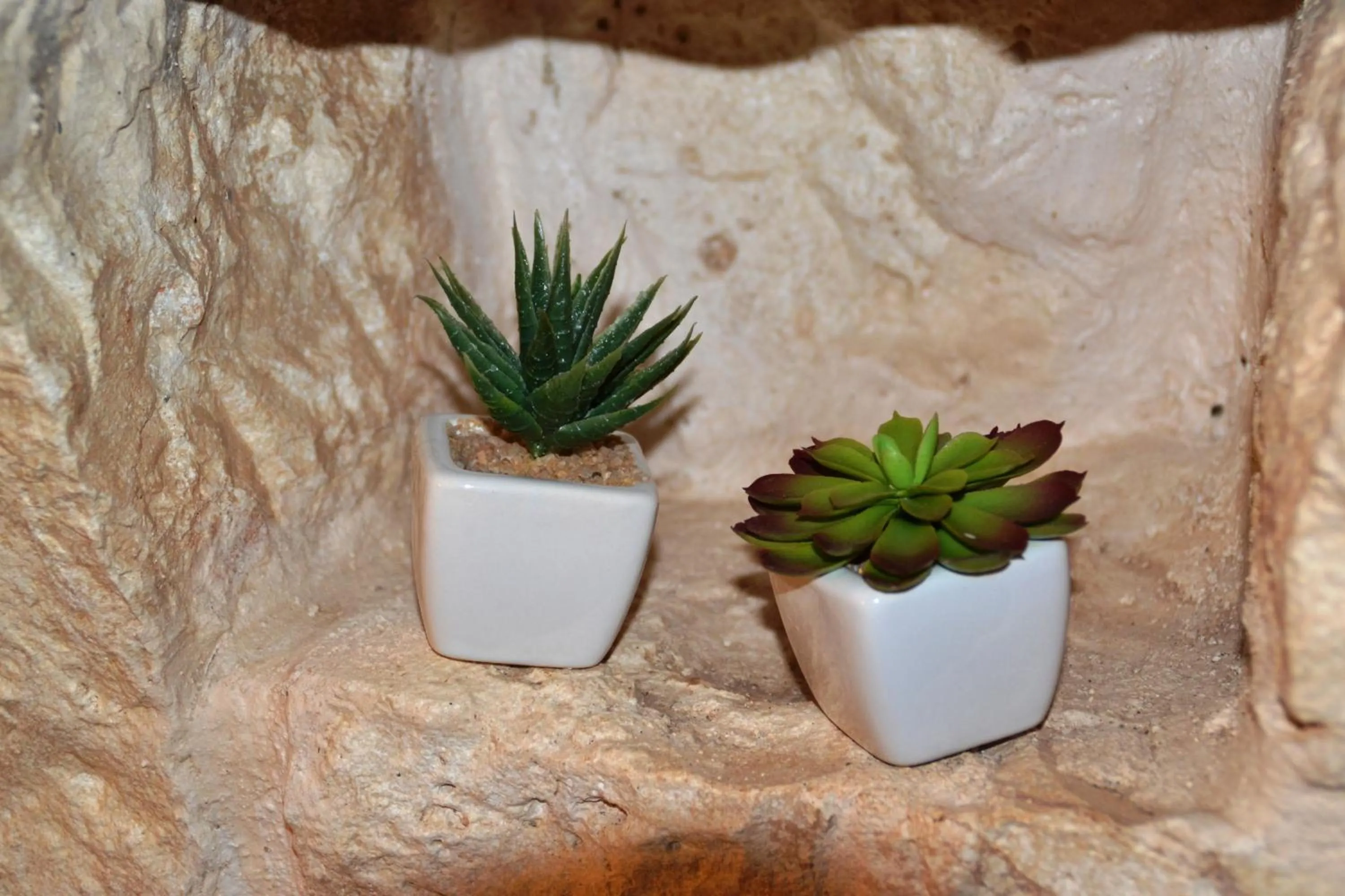 Decorative detail in Residence Spadalunga