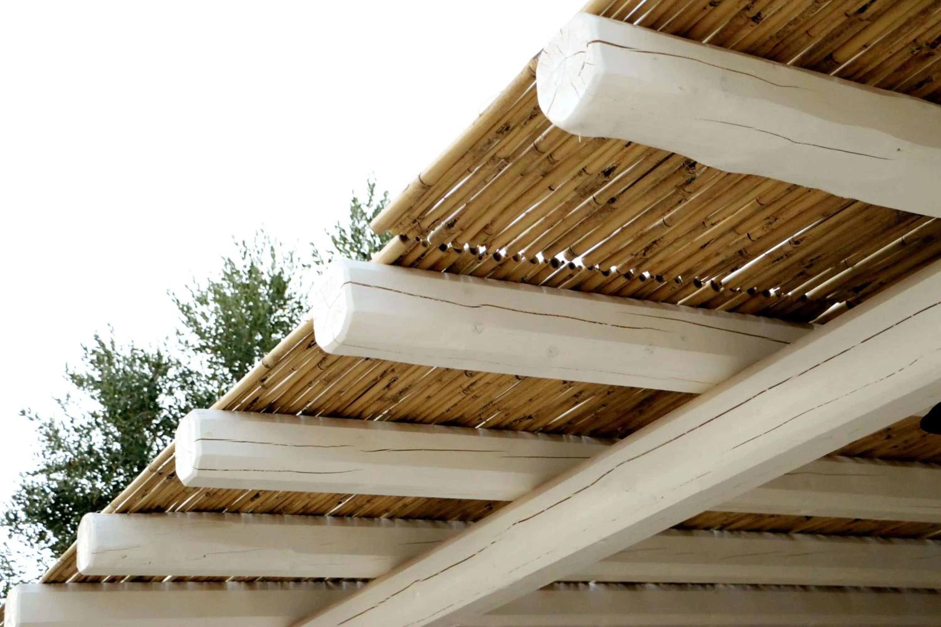 Decorative detail in Residence Spadalunga