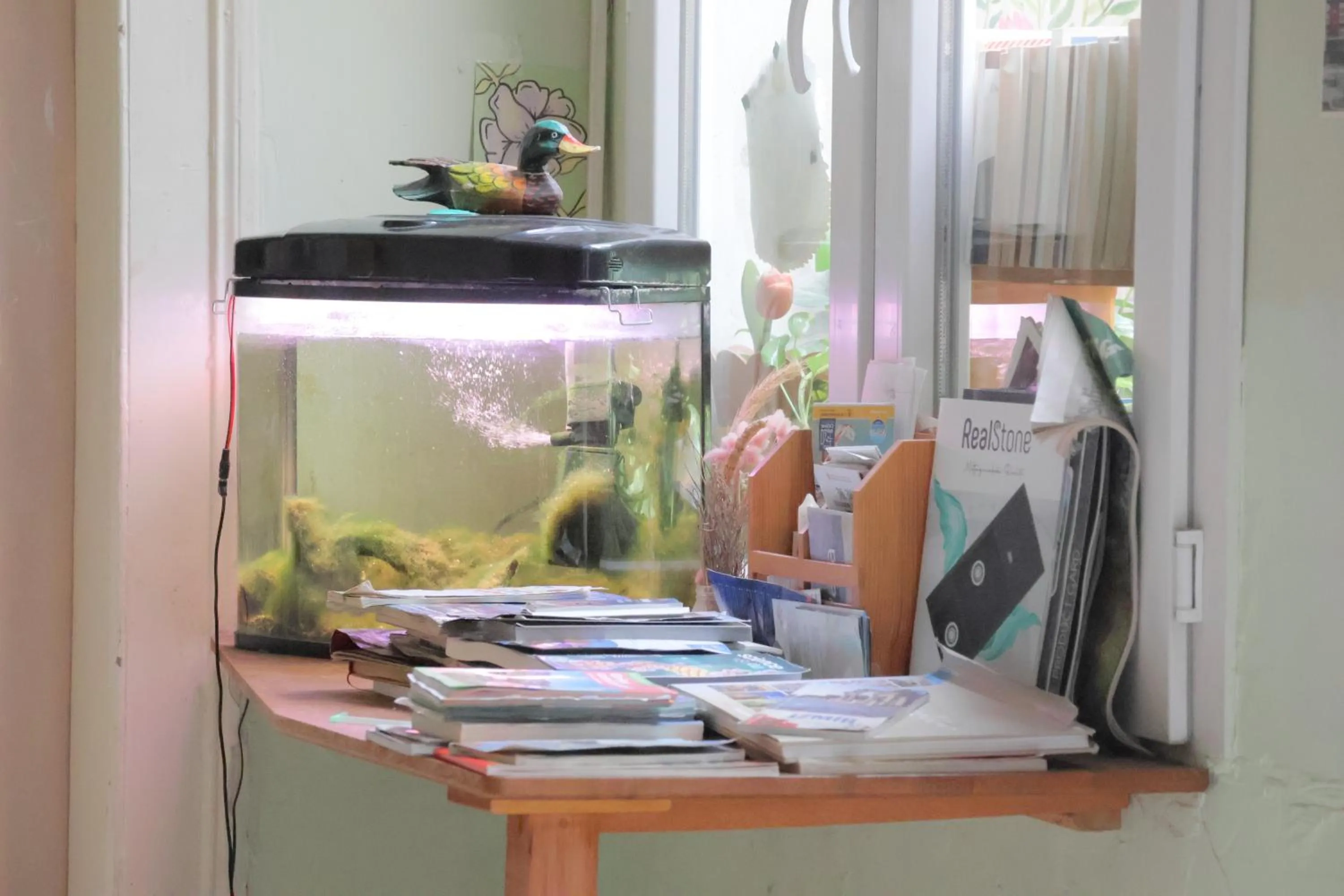 Lotus Garden Hostel Izmir