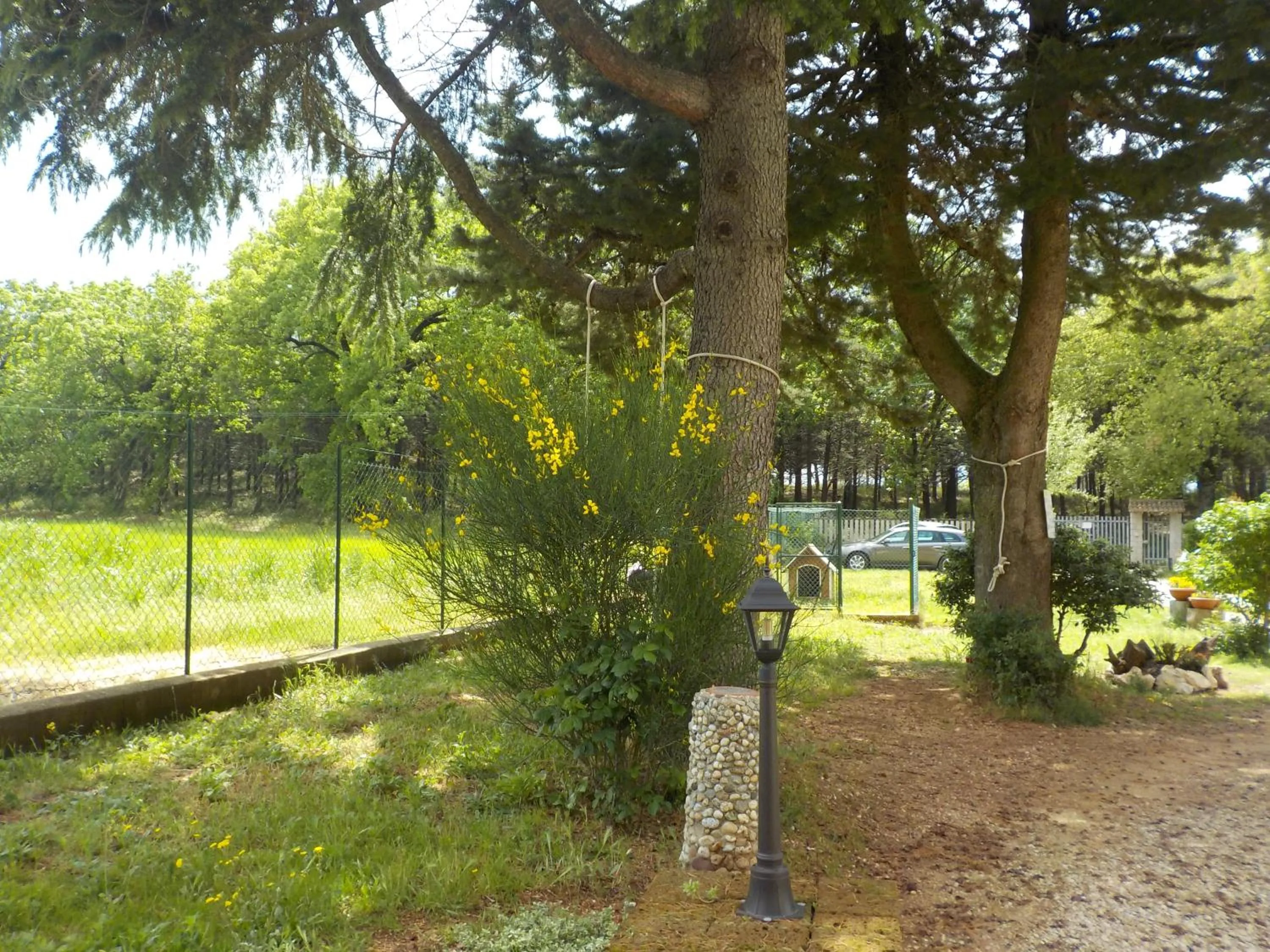 Garden in B&B Il Pizzagiallo