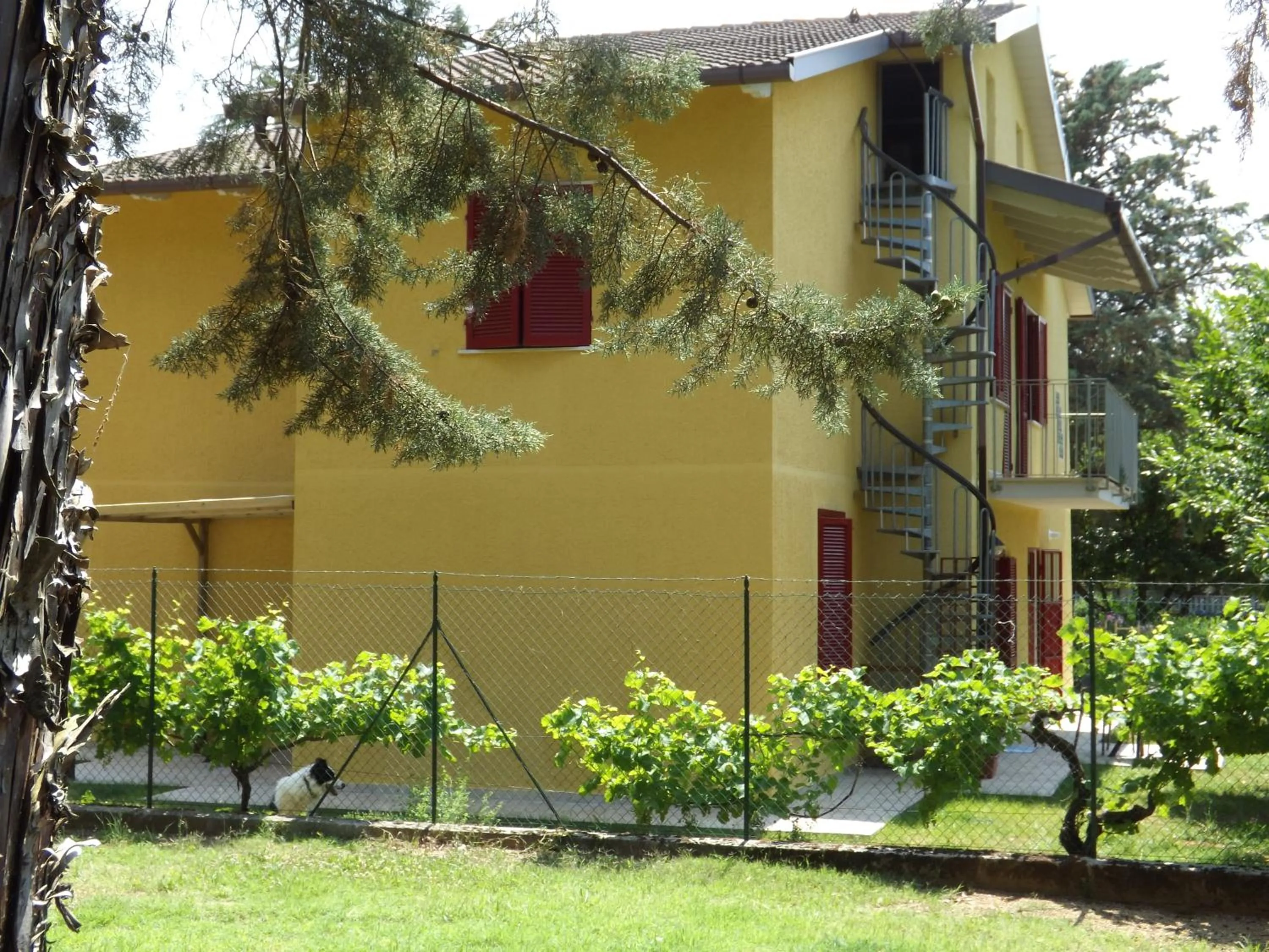 Property building in B&B Il Pizzagiallo