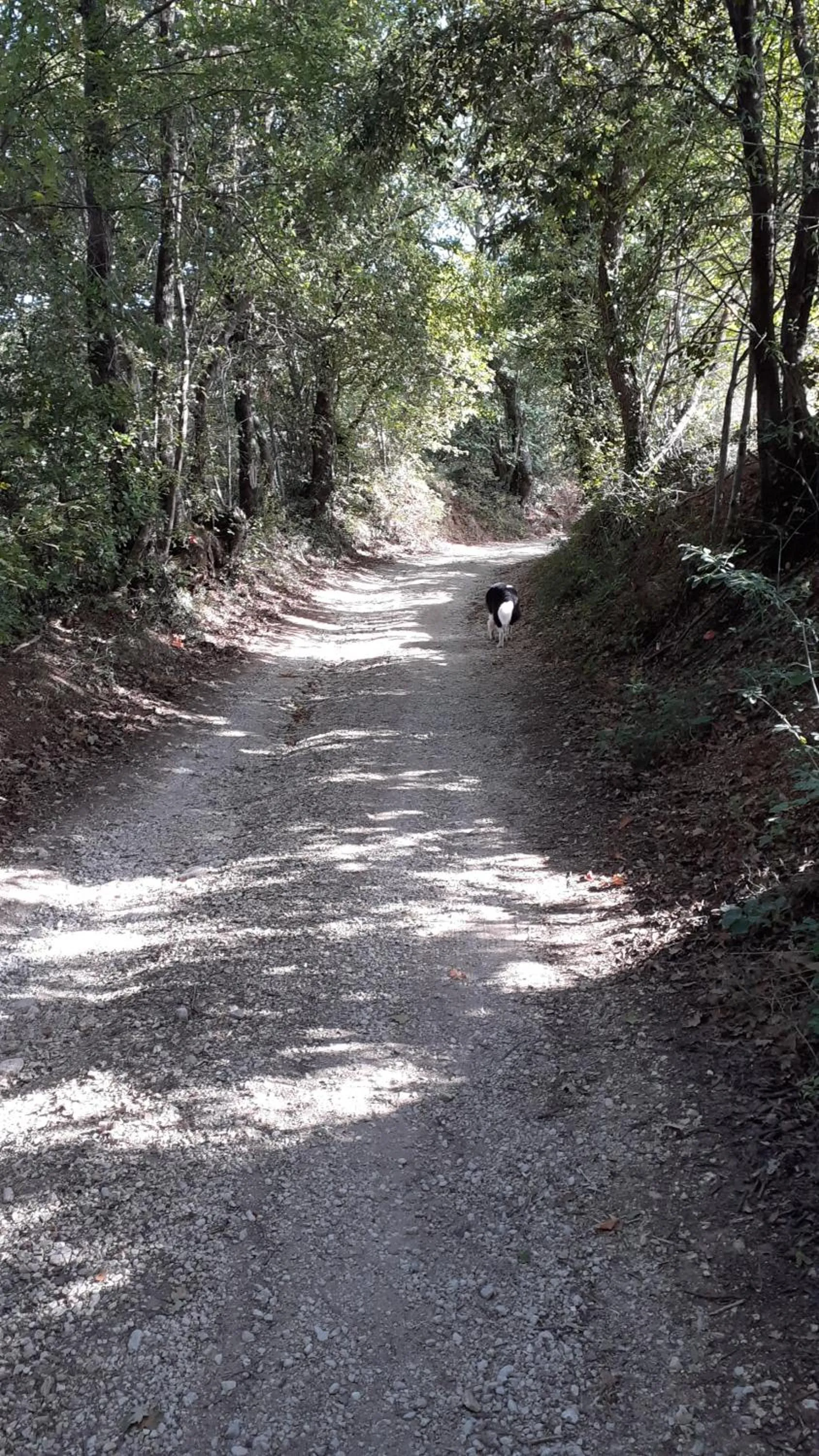 Cycling in B&B Il Pizzagiallo