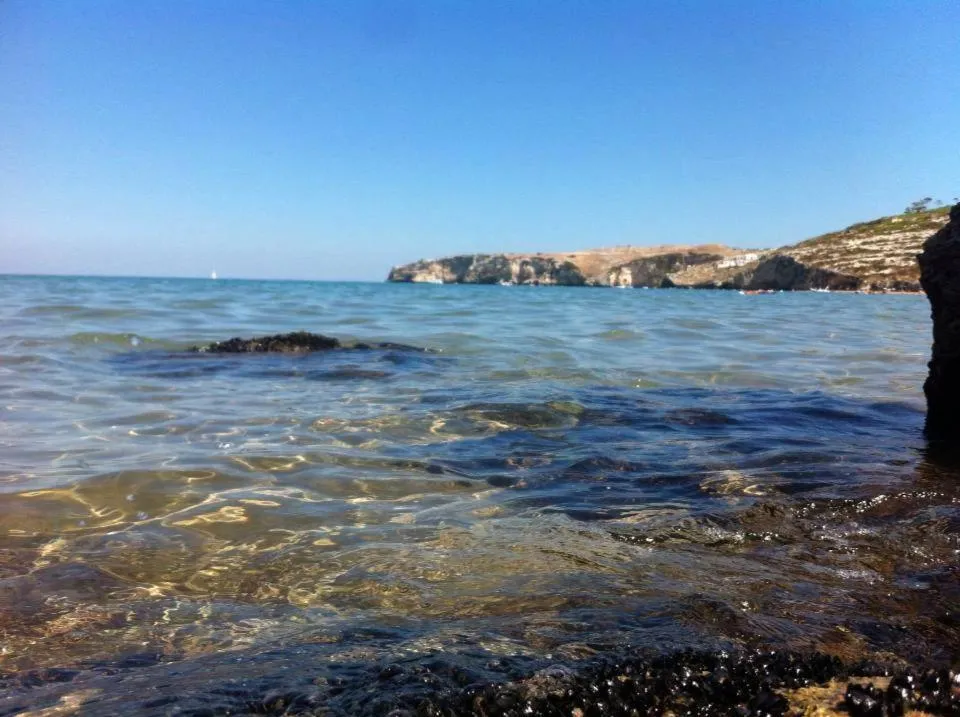 Beach in Albergo Villa A Mare