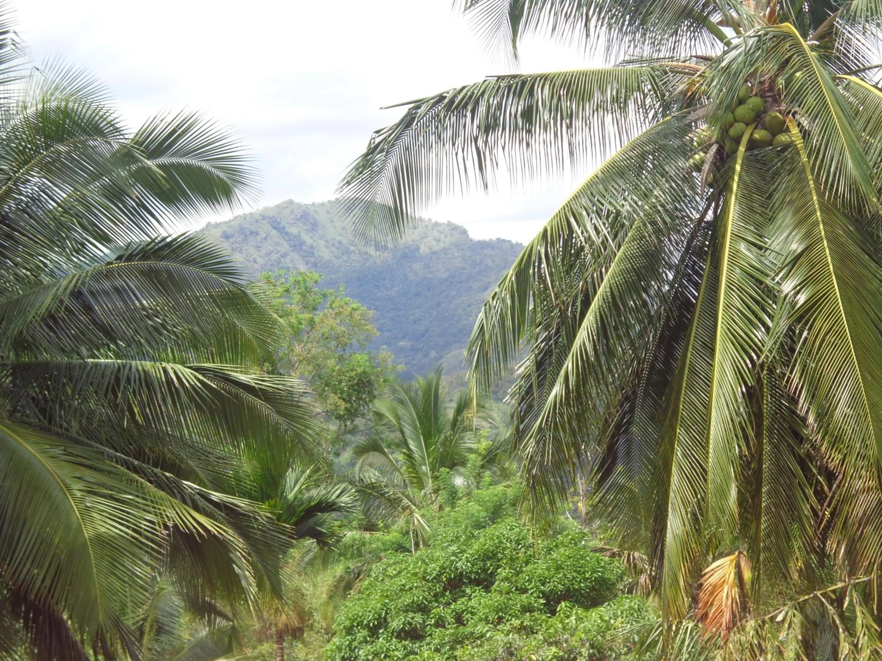 Tennis court in Anura Guest Inn