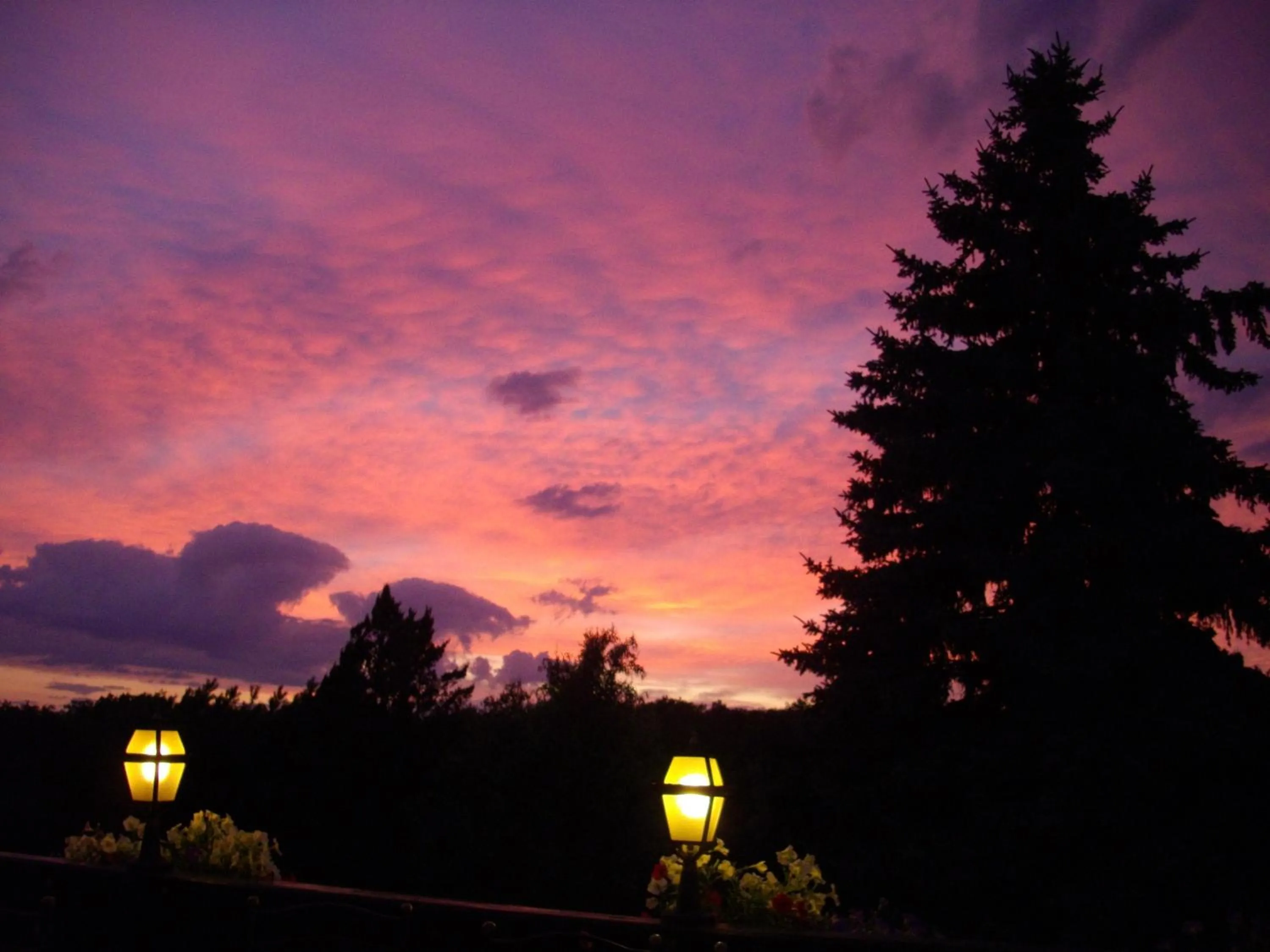 Balcony/Terrace in Landhotel Zur Post