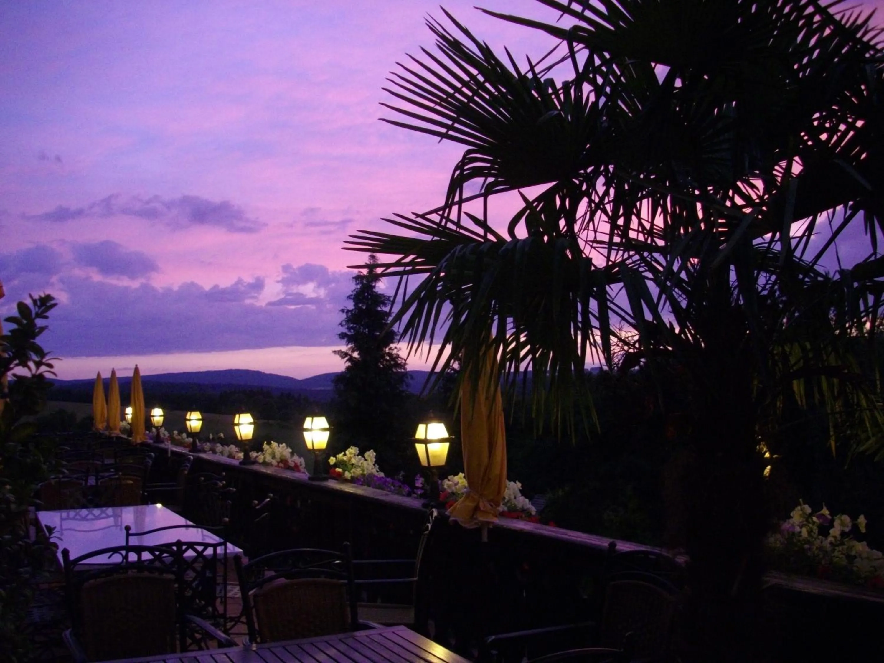 Balcony/Terrace in Landhotel Zur Post