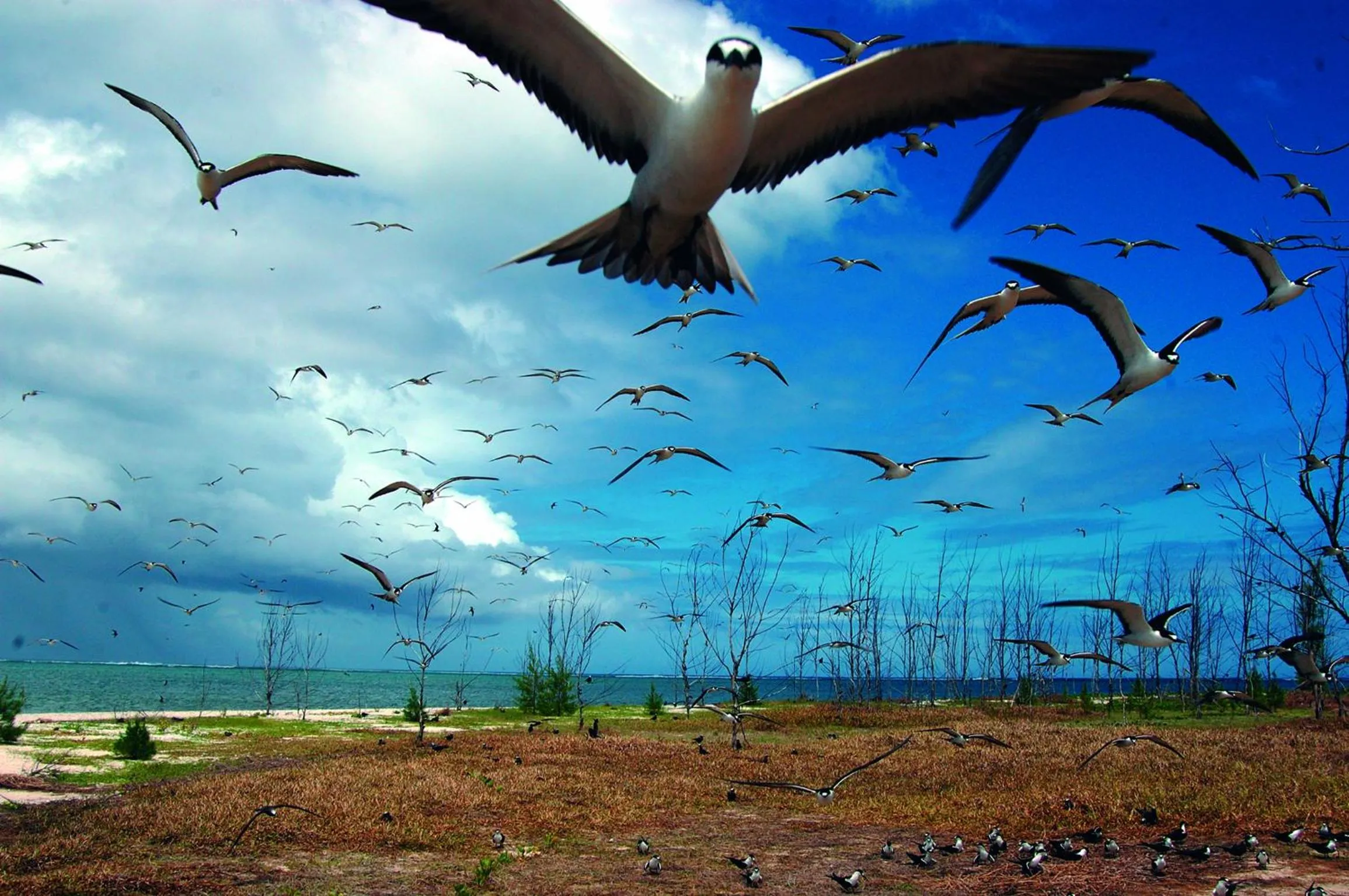 Natural landscape in Chez Ronald Guest House