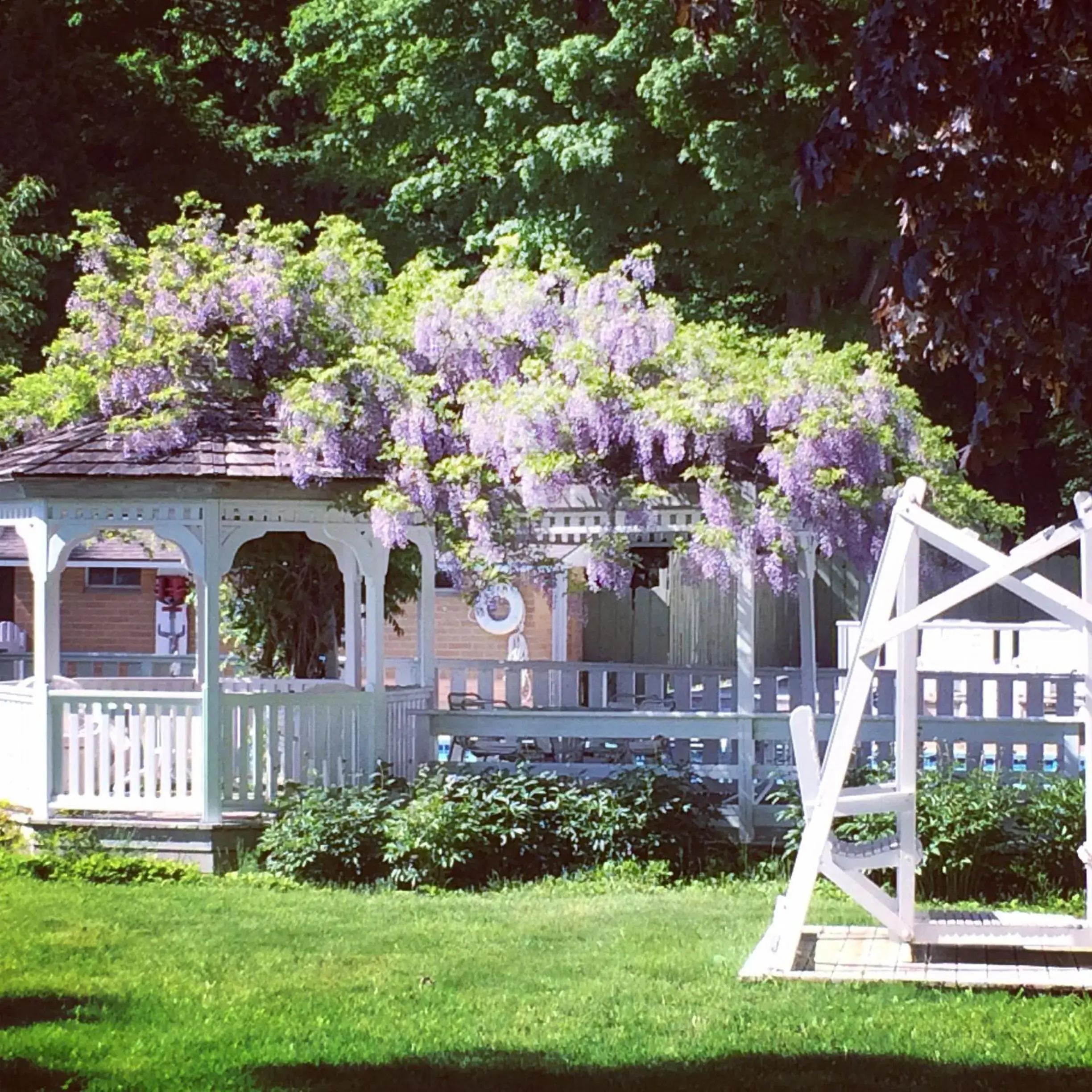 Garden in Michillinda Lodge Resort