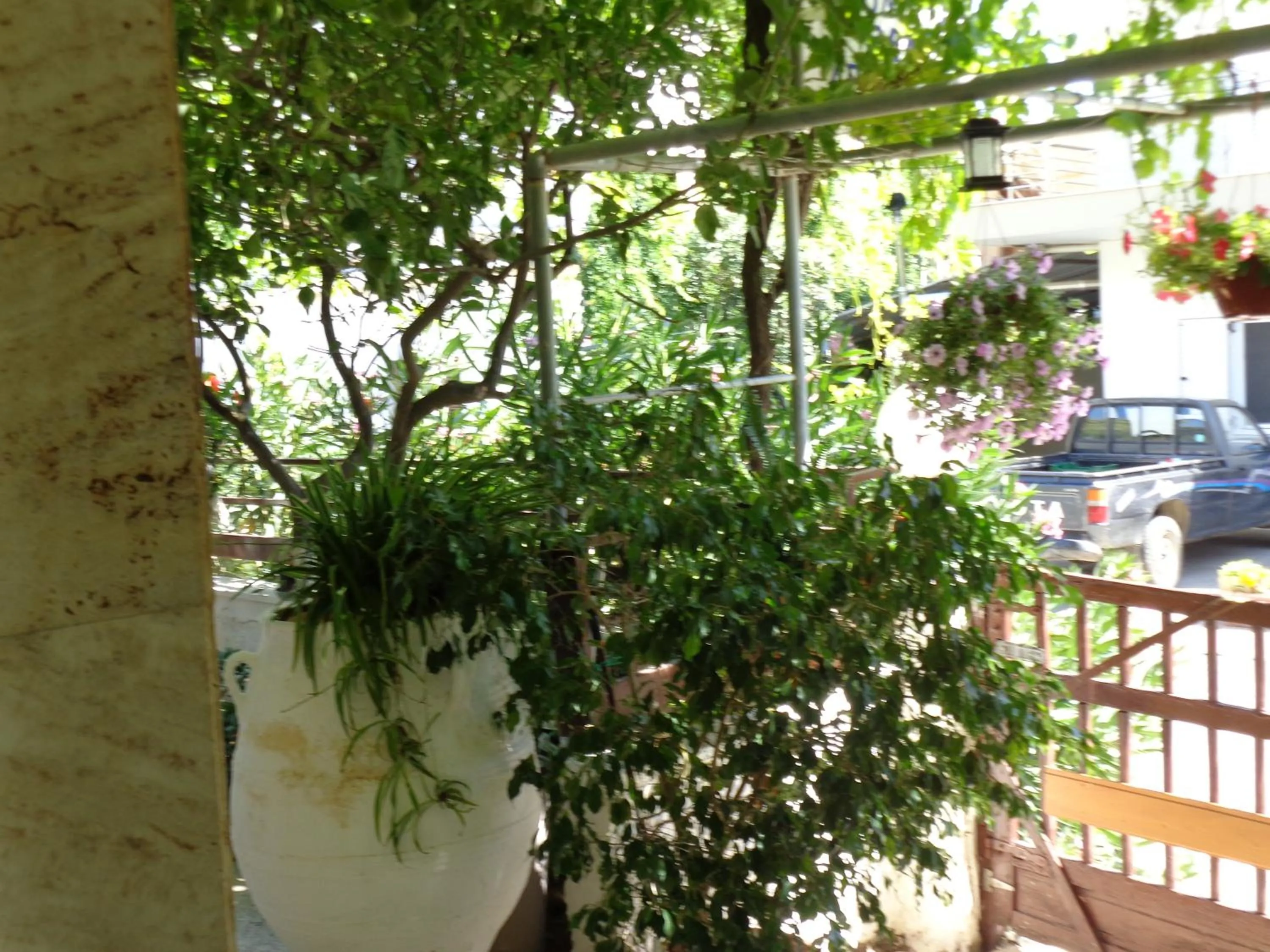 Facade/entrance in Savas Rooms