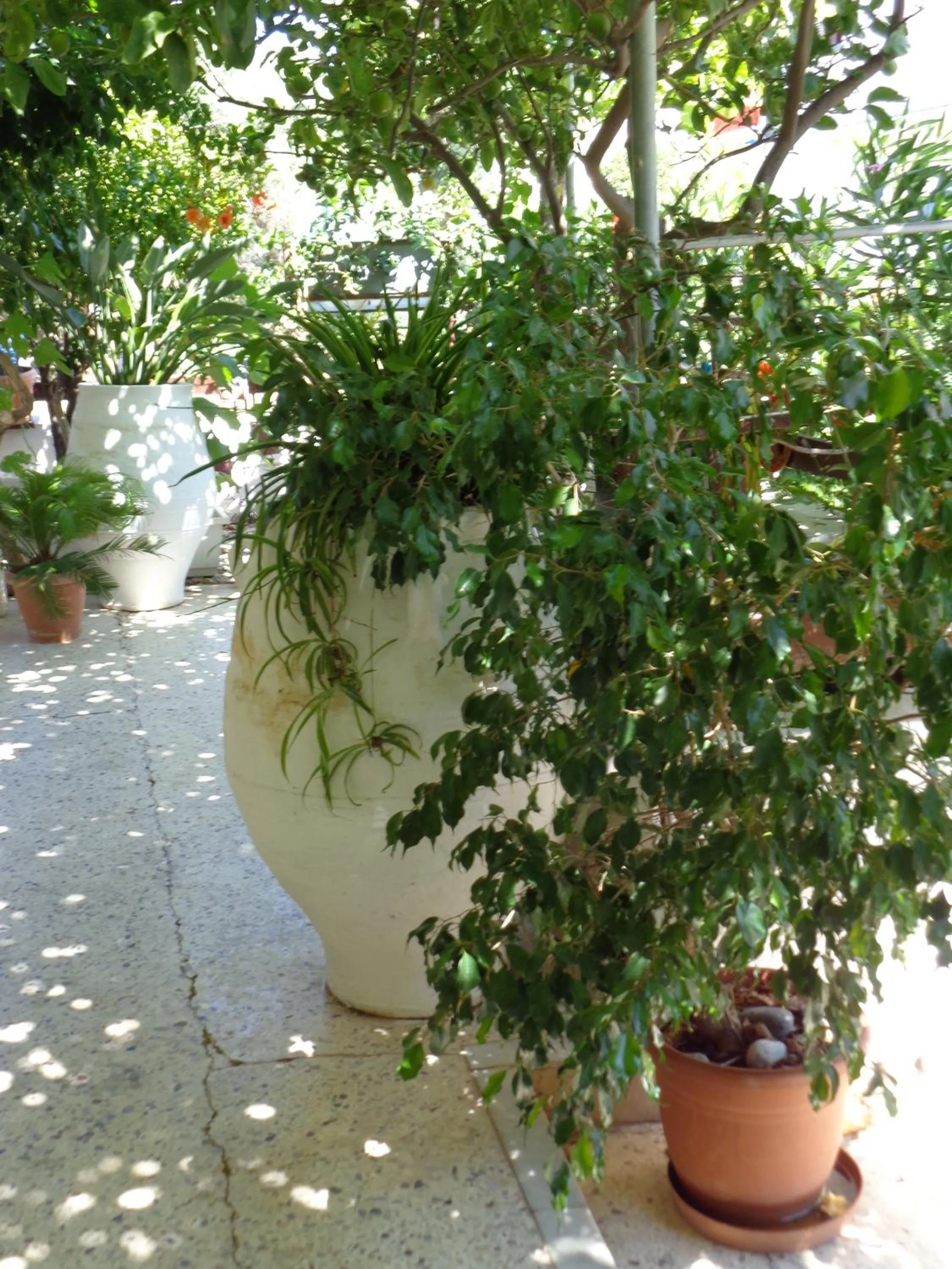 Facade/entrance in Savas Rooms