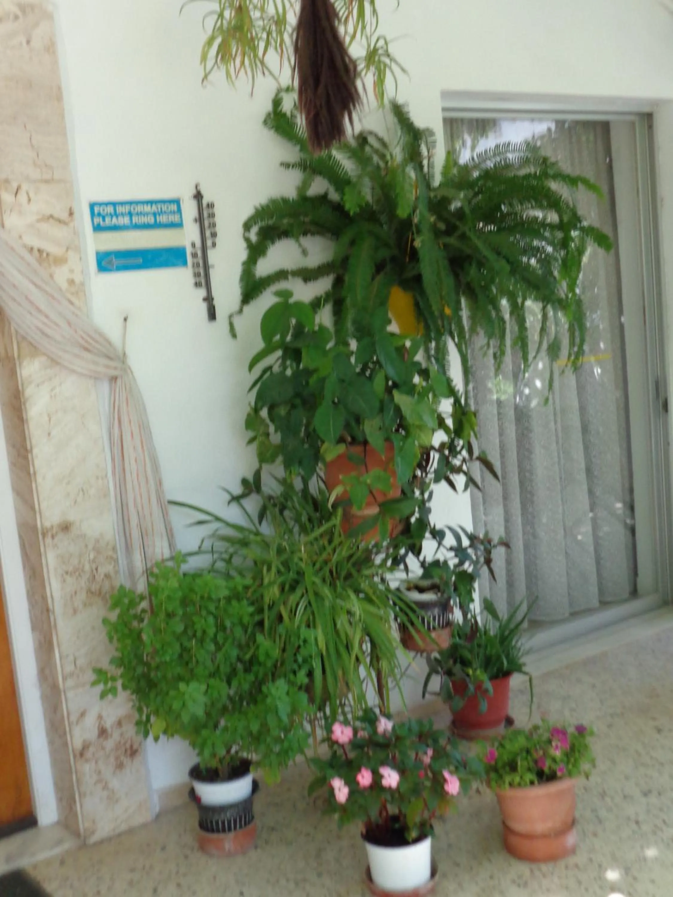 Decorative detail in Savas Rooms