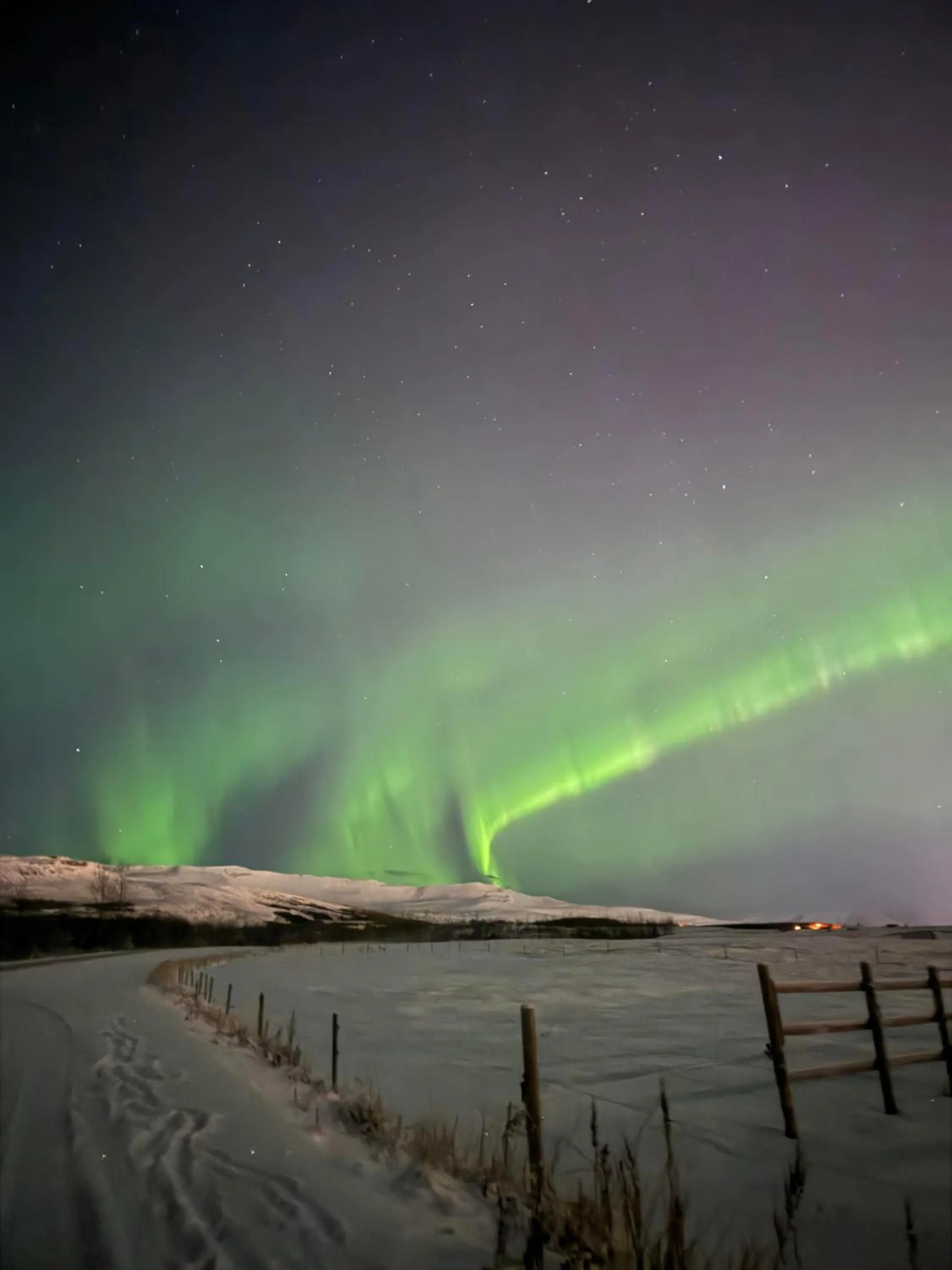 Winter in Hotel Kjarnalundur- Aurora Dream - Lodges and Rooms