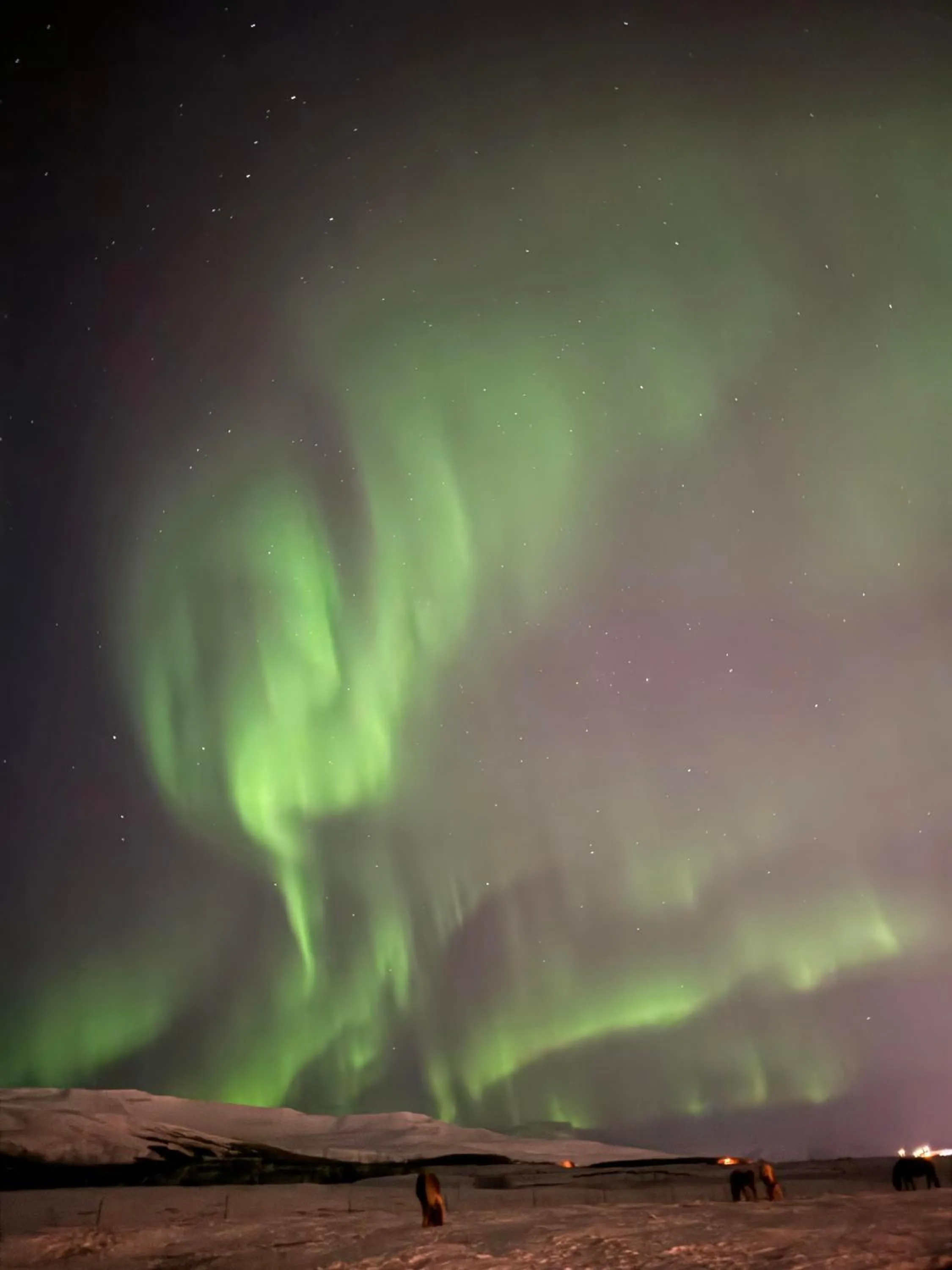 Night in Hotel Kjarnalundur- Aurora Dream - Lodges and Rooms