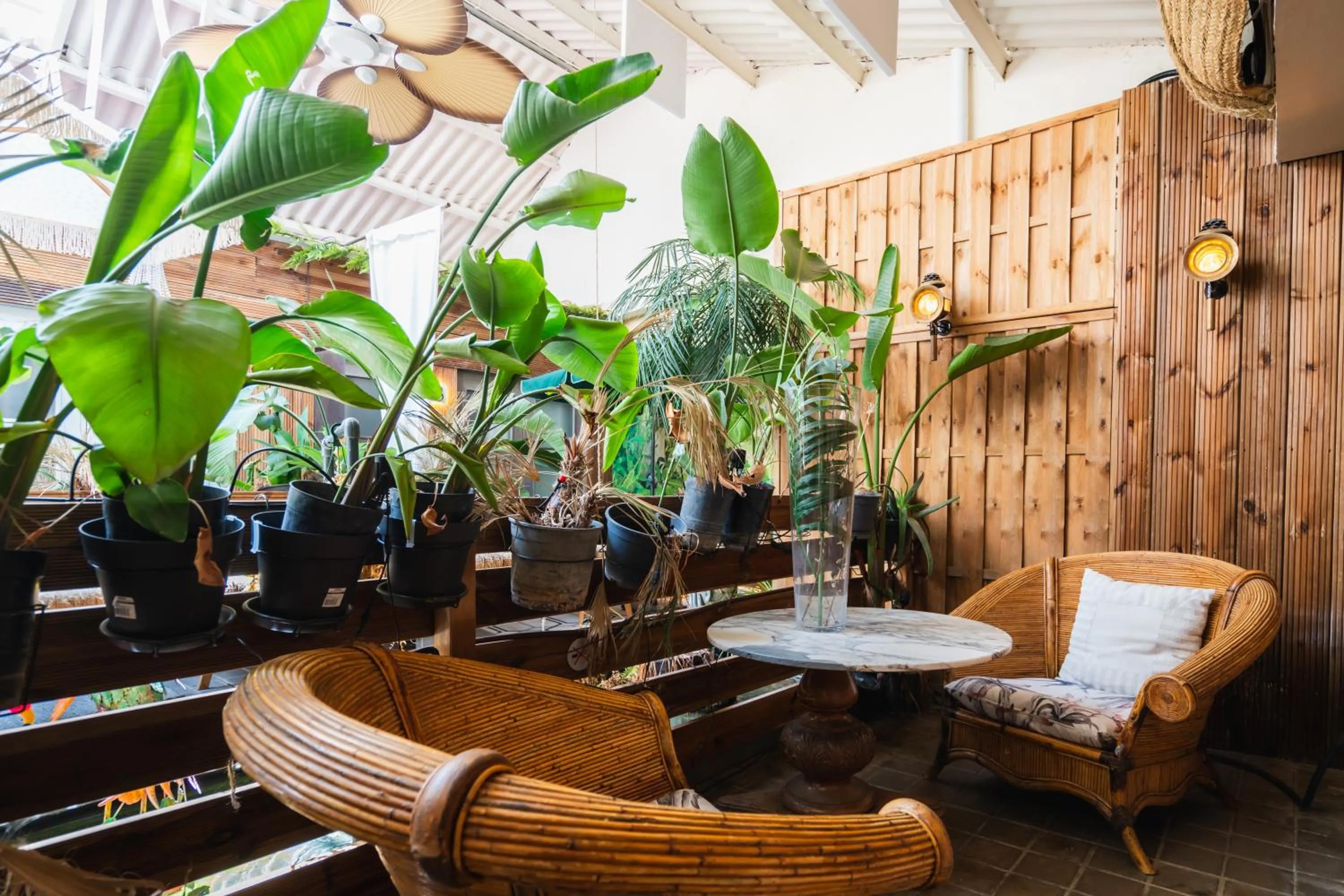 Garden view in Hotel Life Gran Via - Tropical garden