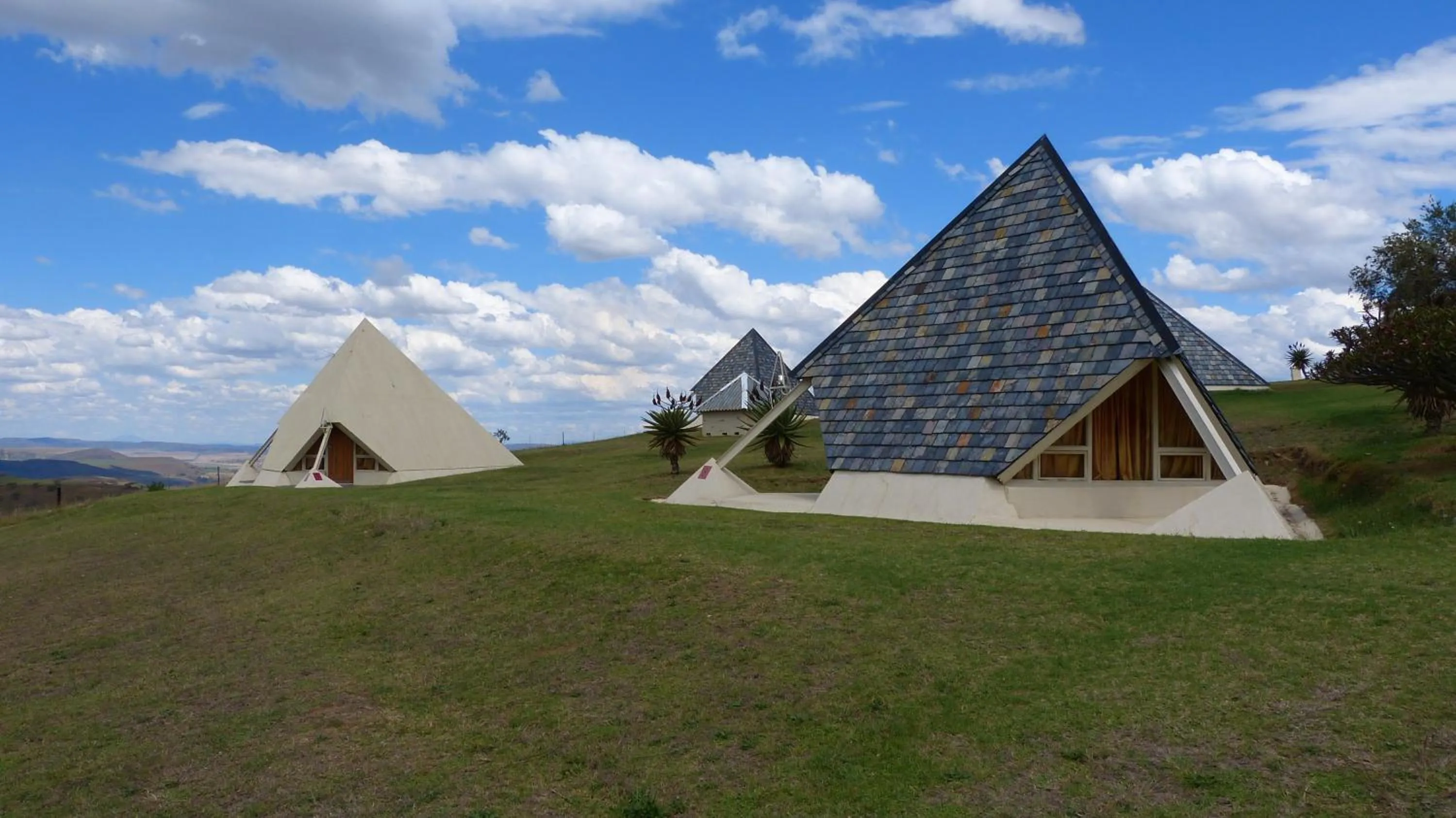 Garden in Pyramids Motel