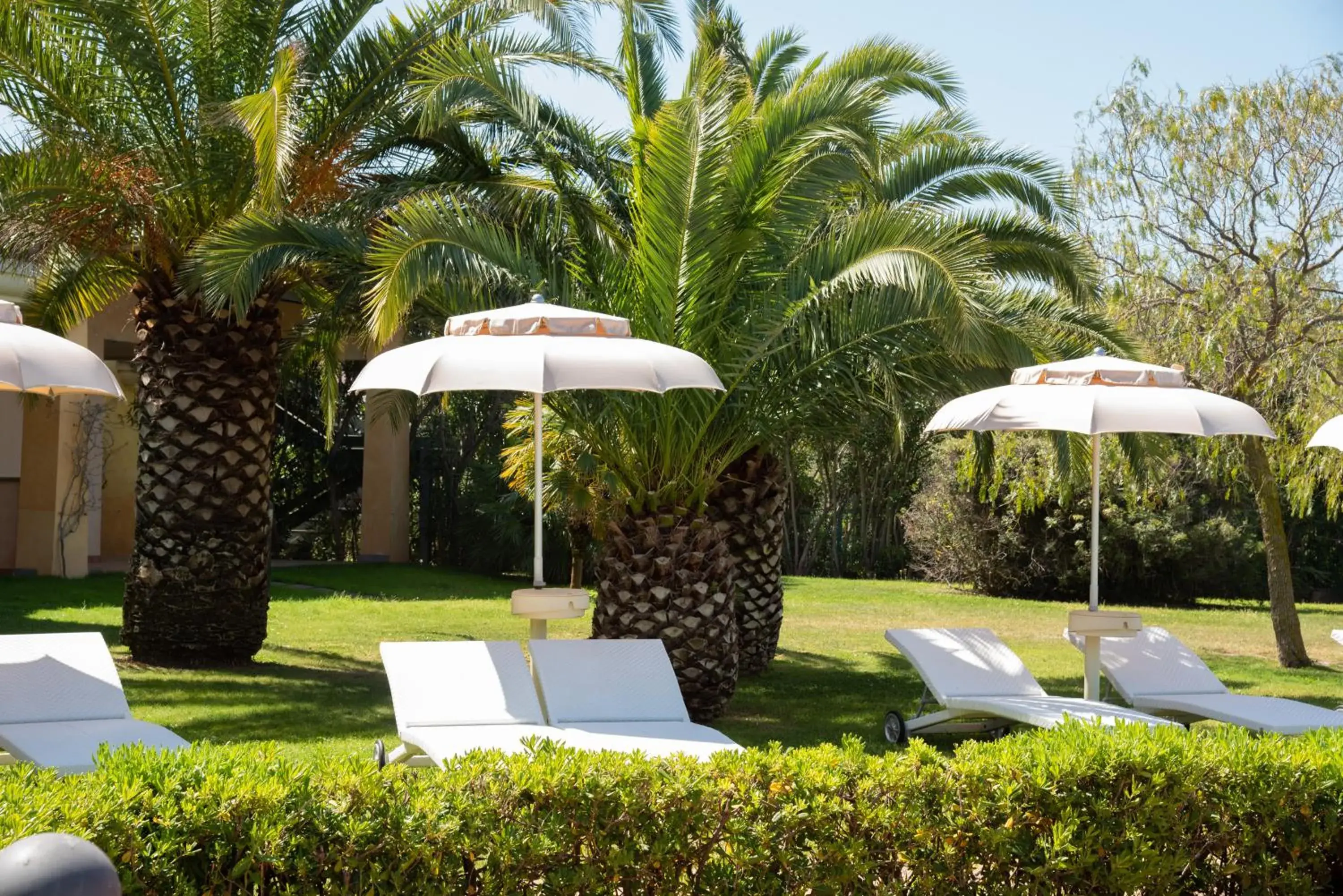 Swimming pool in Hotel Santa Gilla Swimming pool in Hotel Santa Gilla