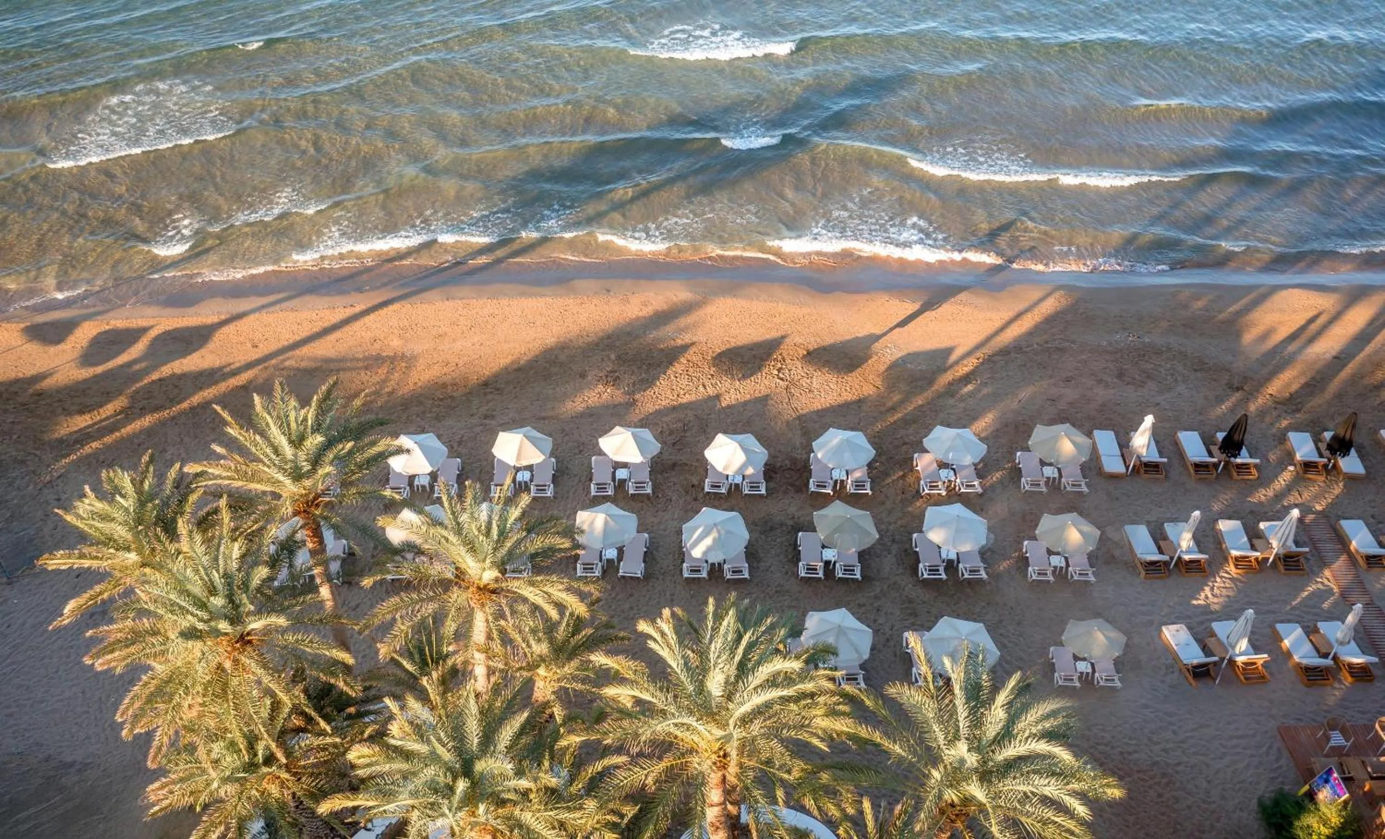 Beach in Zeus Hotels Palm Beach