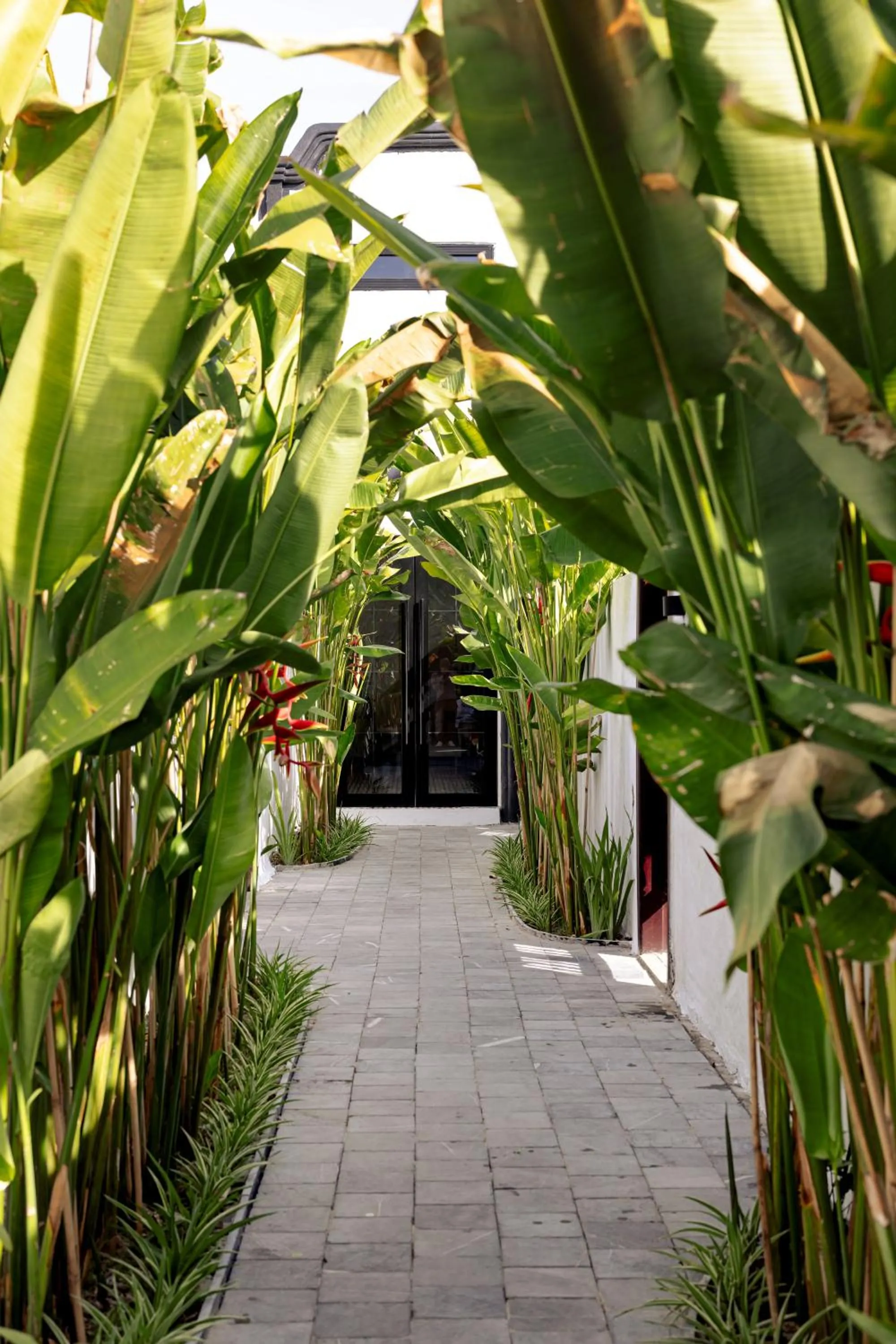 Day in AN Retreats Ninh Binh