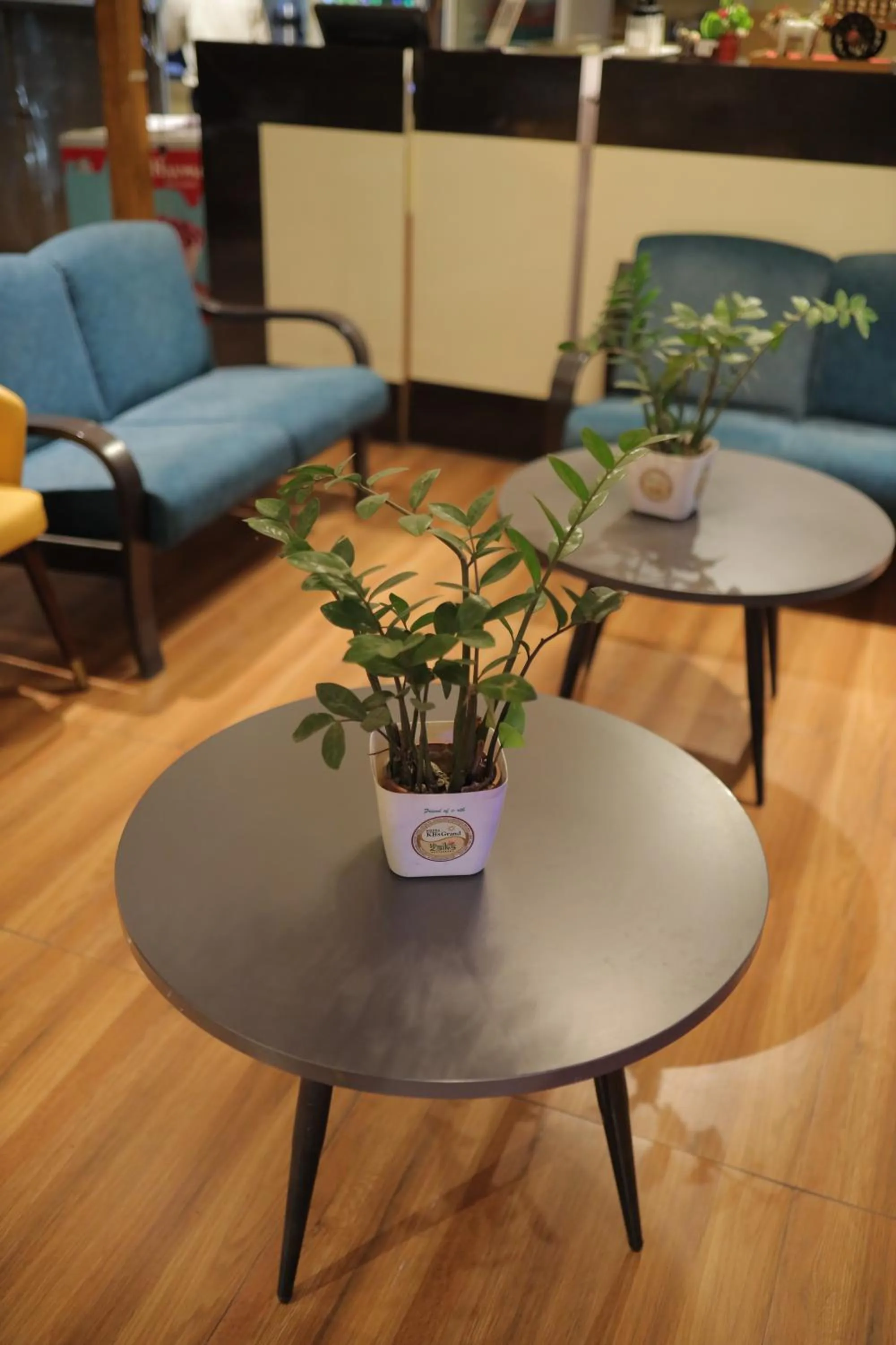 Seating area in HOTEL KB's Grand