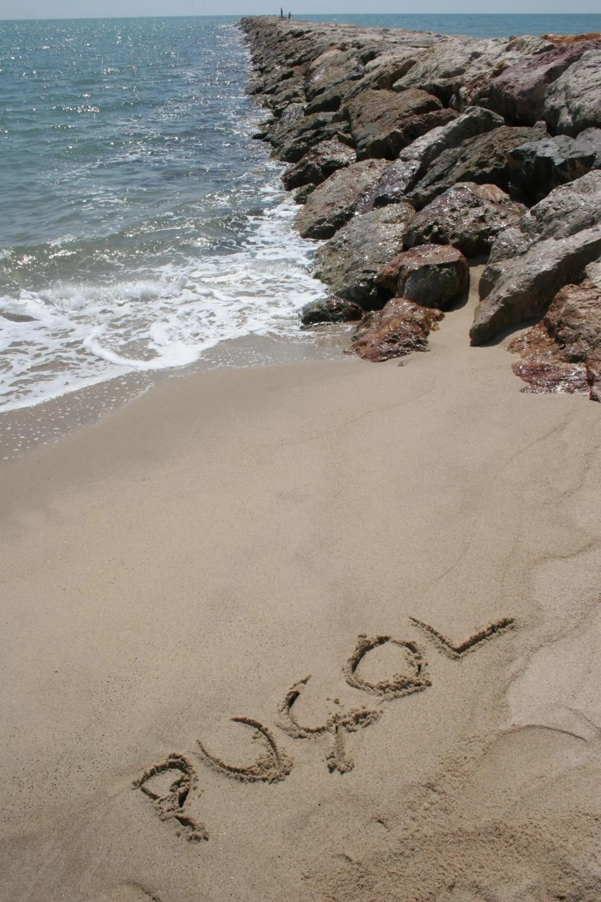 Natural landscape in Hotel Alba