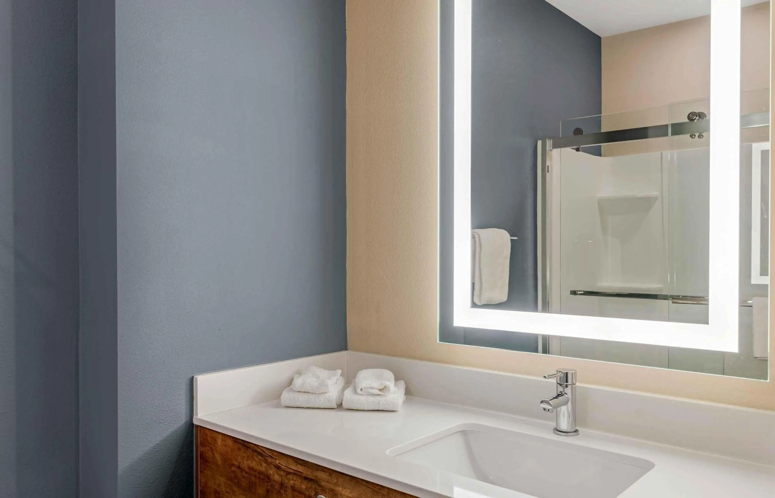 Bathroom in Extended Stay America Premier Suites - Jacksonville - Airport