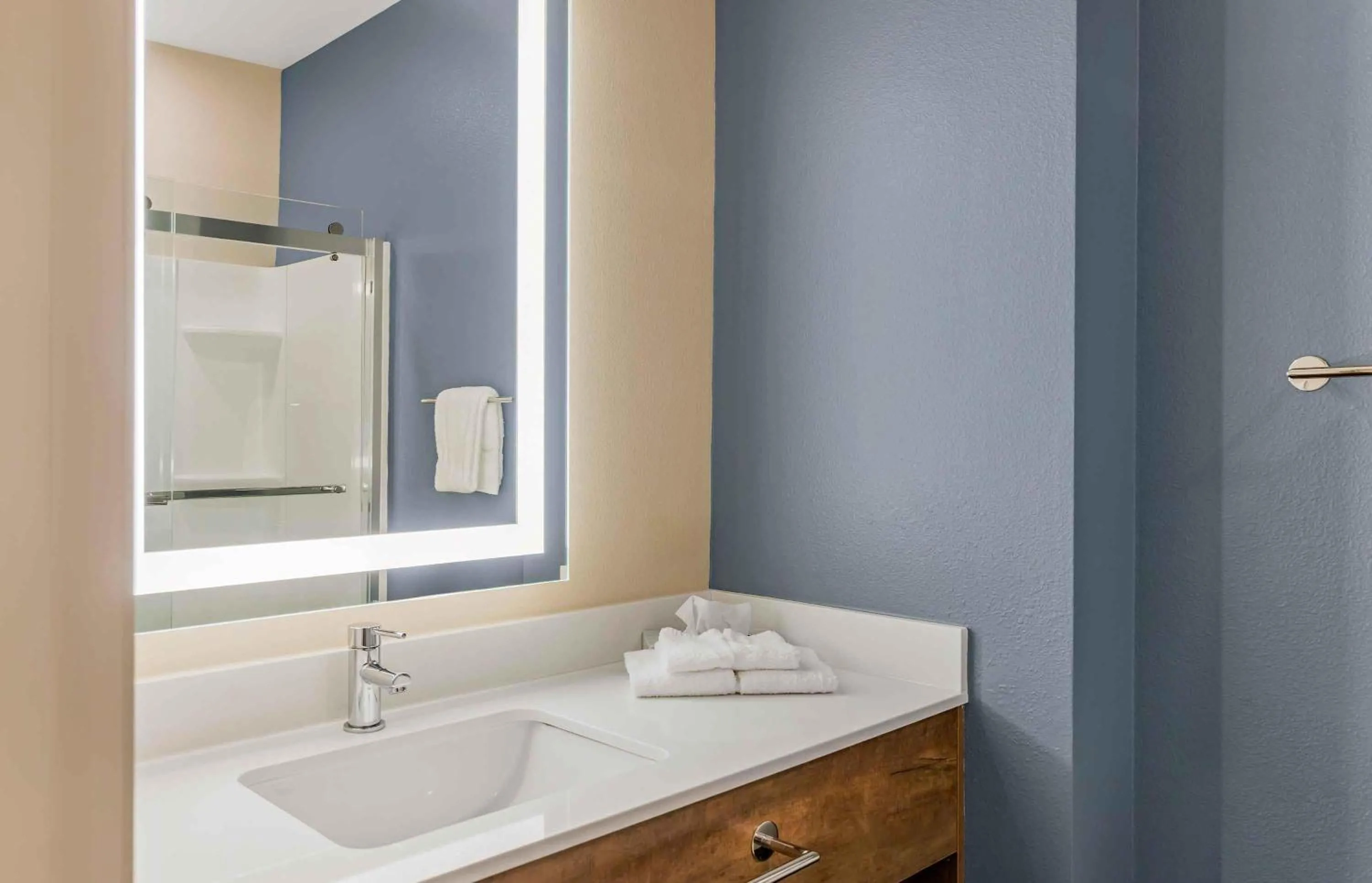 Bathroom in Extended Stay America Premier Suites - Jacksonville - Airport