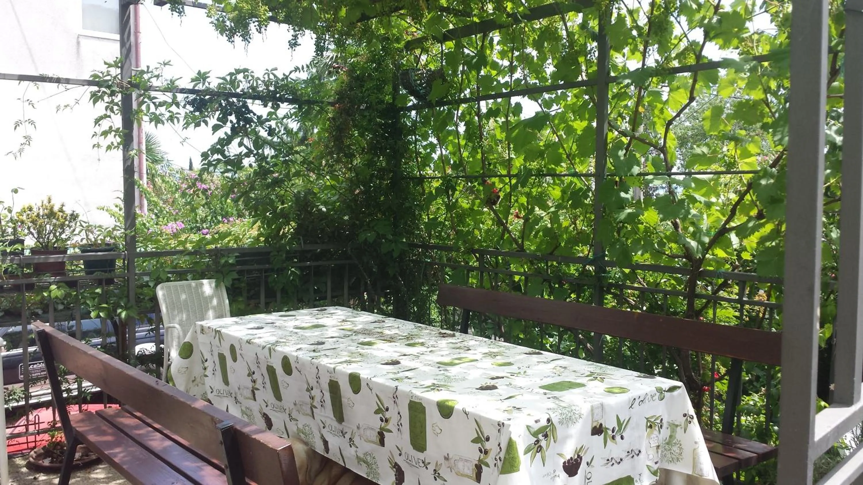 Garden in Apartments Paco & Bony