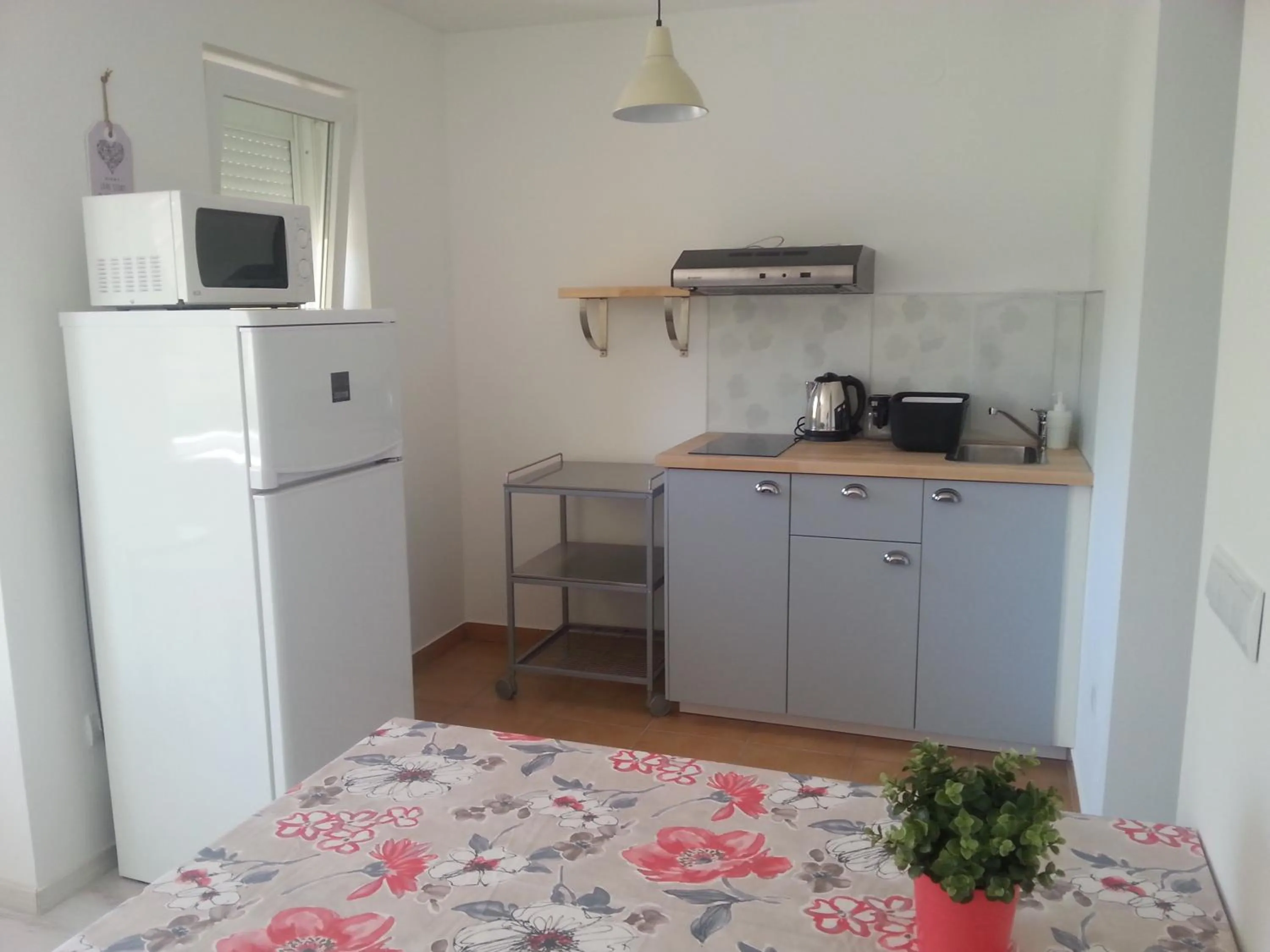 Kitchen or kitchenette in Apartments Finida Umag