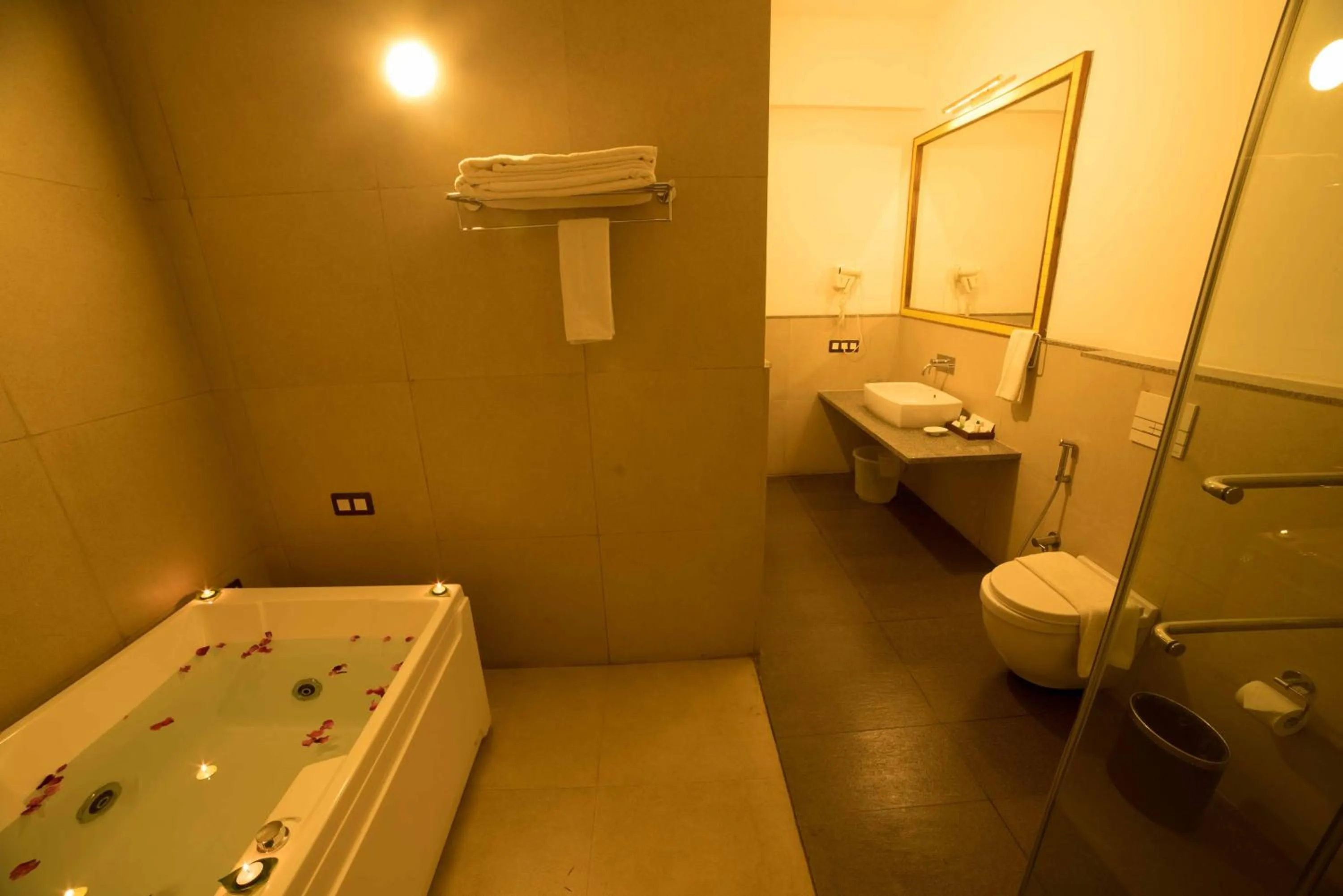 Area and facilities in Heritage Resort Hampi