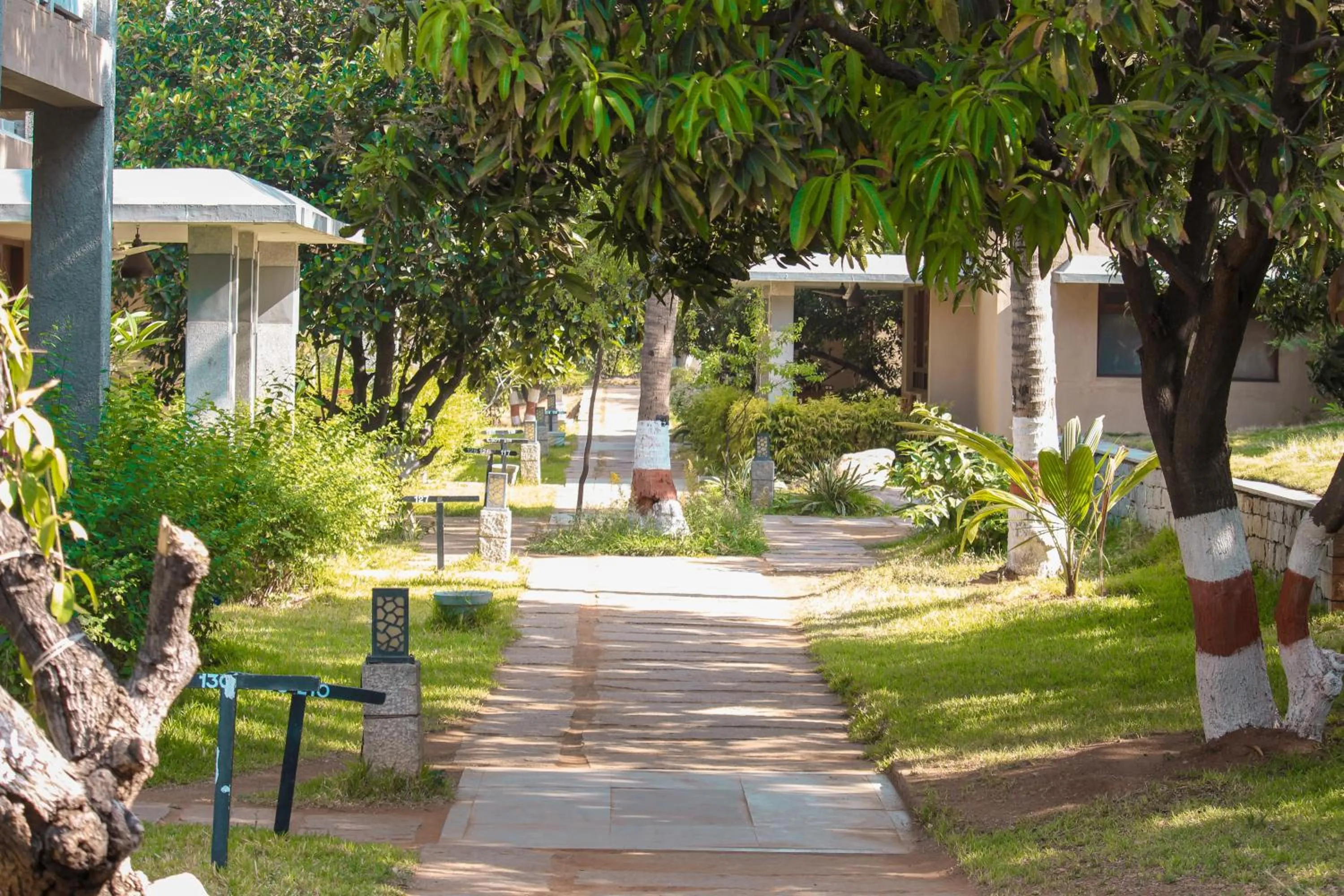 Area and facilities in Heritage Resort Hampi