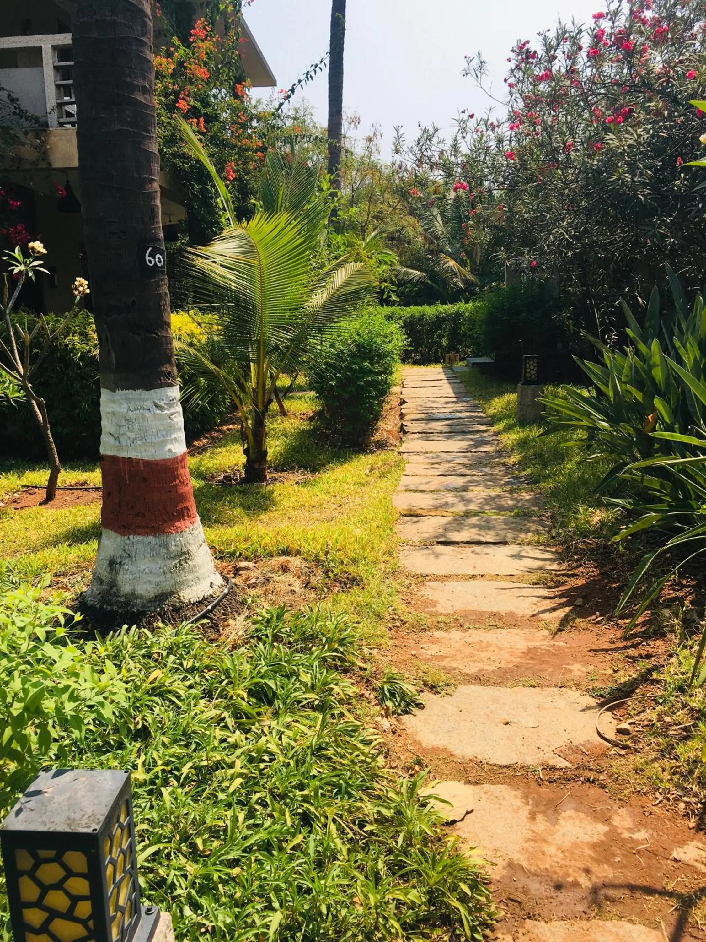 Area and facilities in Heritage Resort Hampi